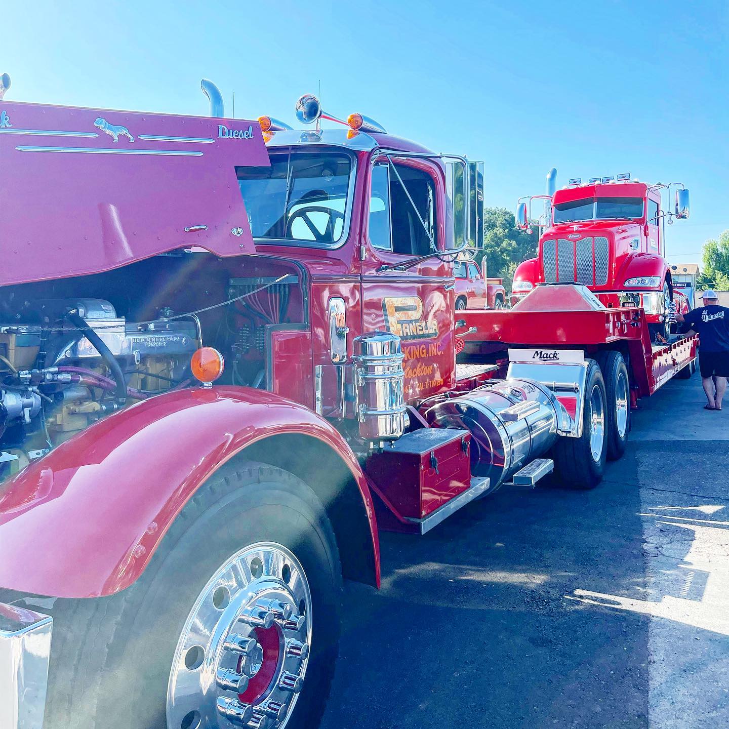 Panella Trucking LLC