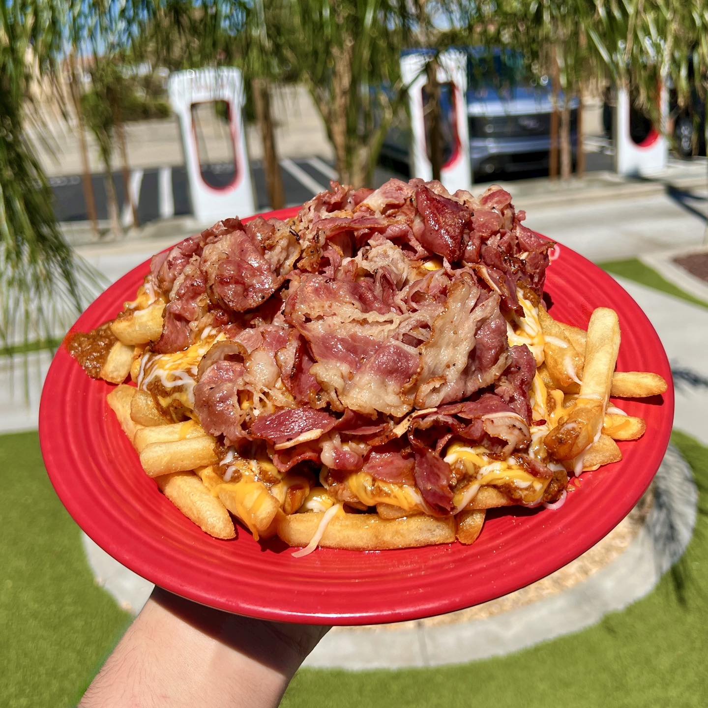 The Workz Mojave Mojave