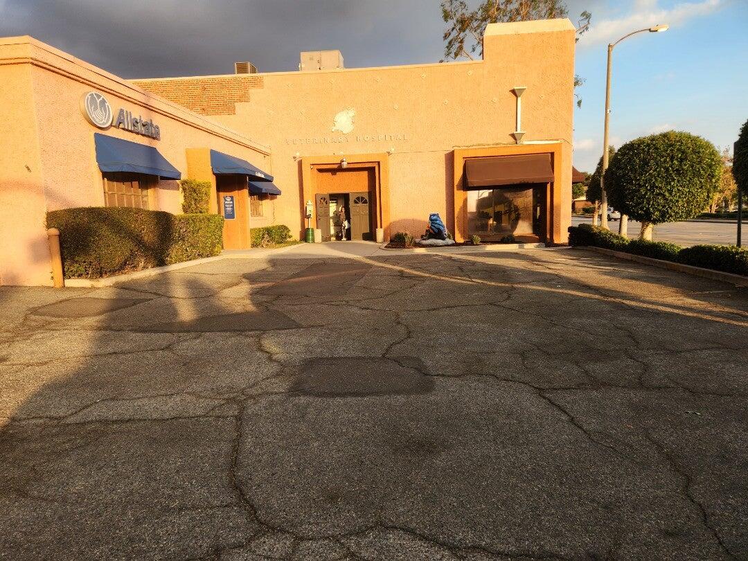 Dr. Domotor's Animal House Monrovia