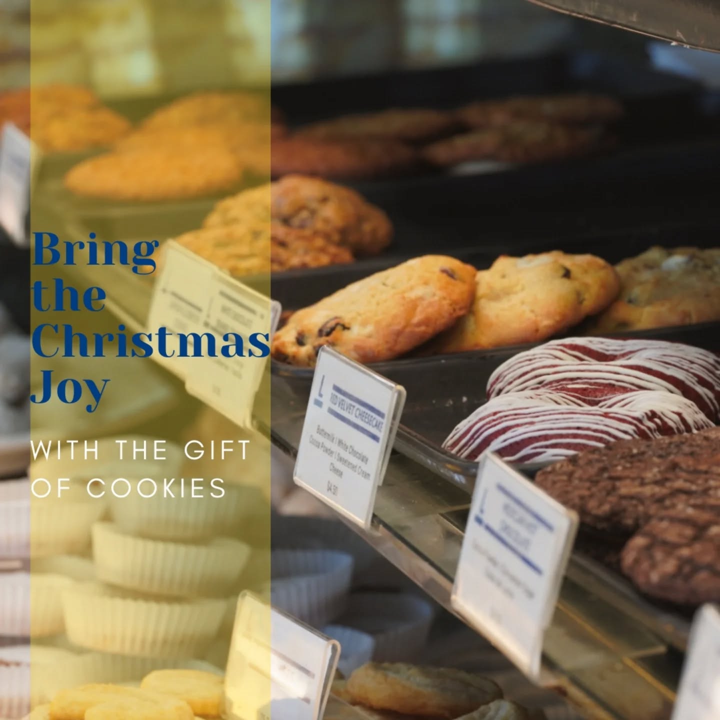 Layered Cakerie Montclair