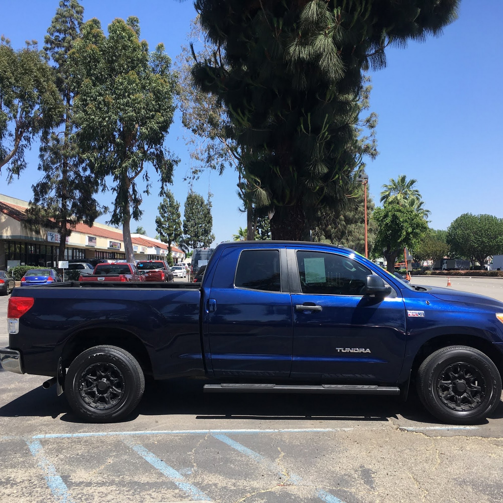 Apex Motors Montclair