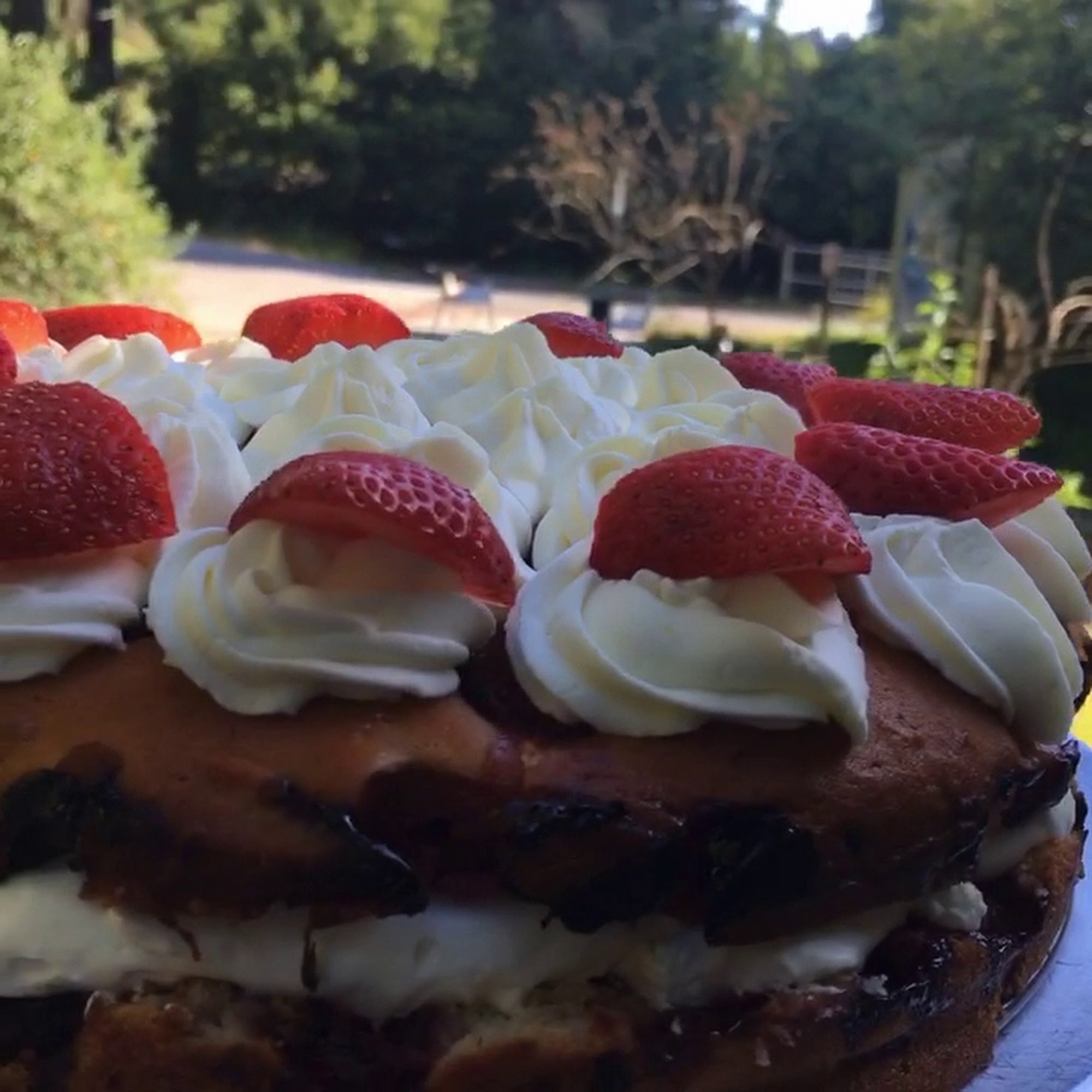 Lightwave Coffee and kitchen Monte Rio