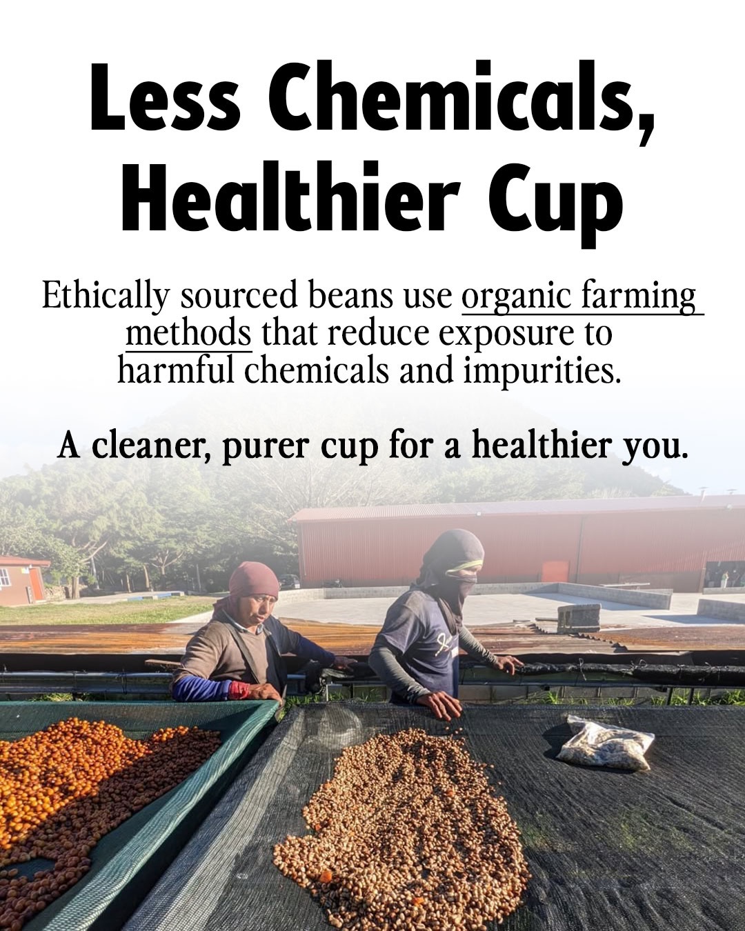 Ground Up Coffee Montebello