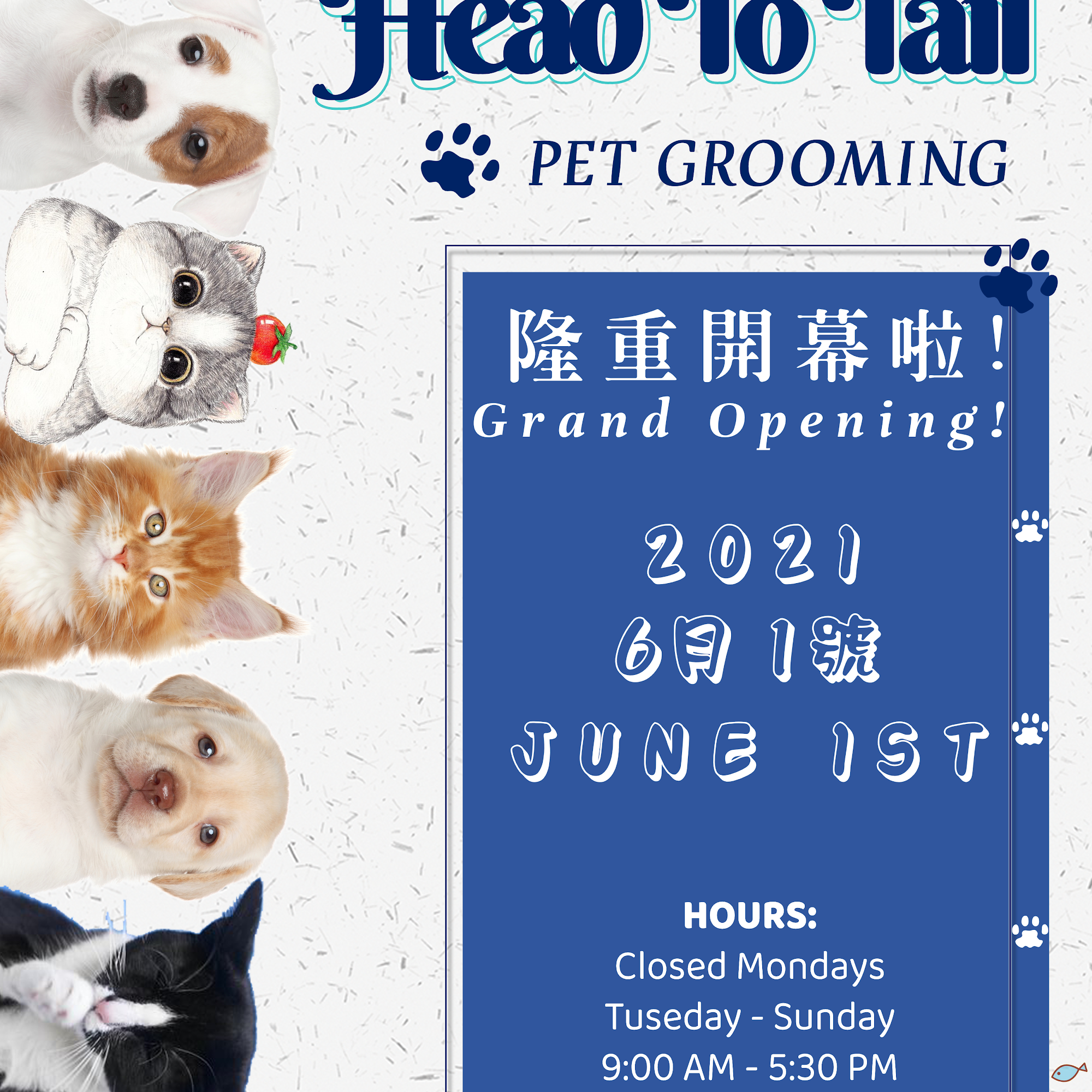 Head To Tail Grooming Monterey Park