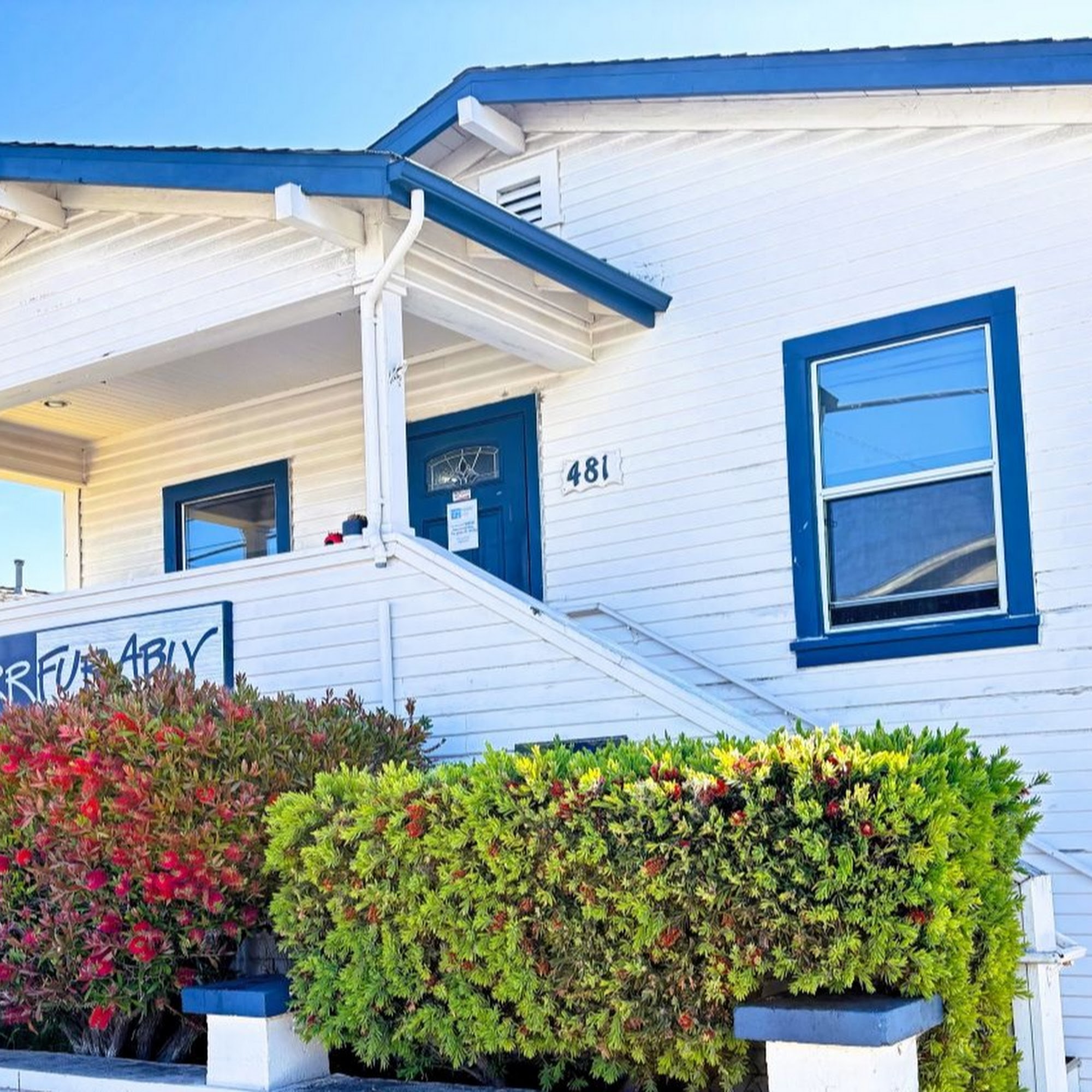 Purrfurably Cats Animal Hospital Monterey