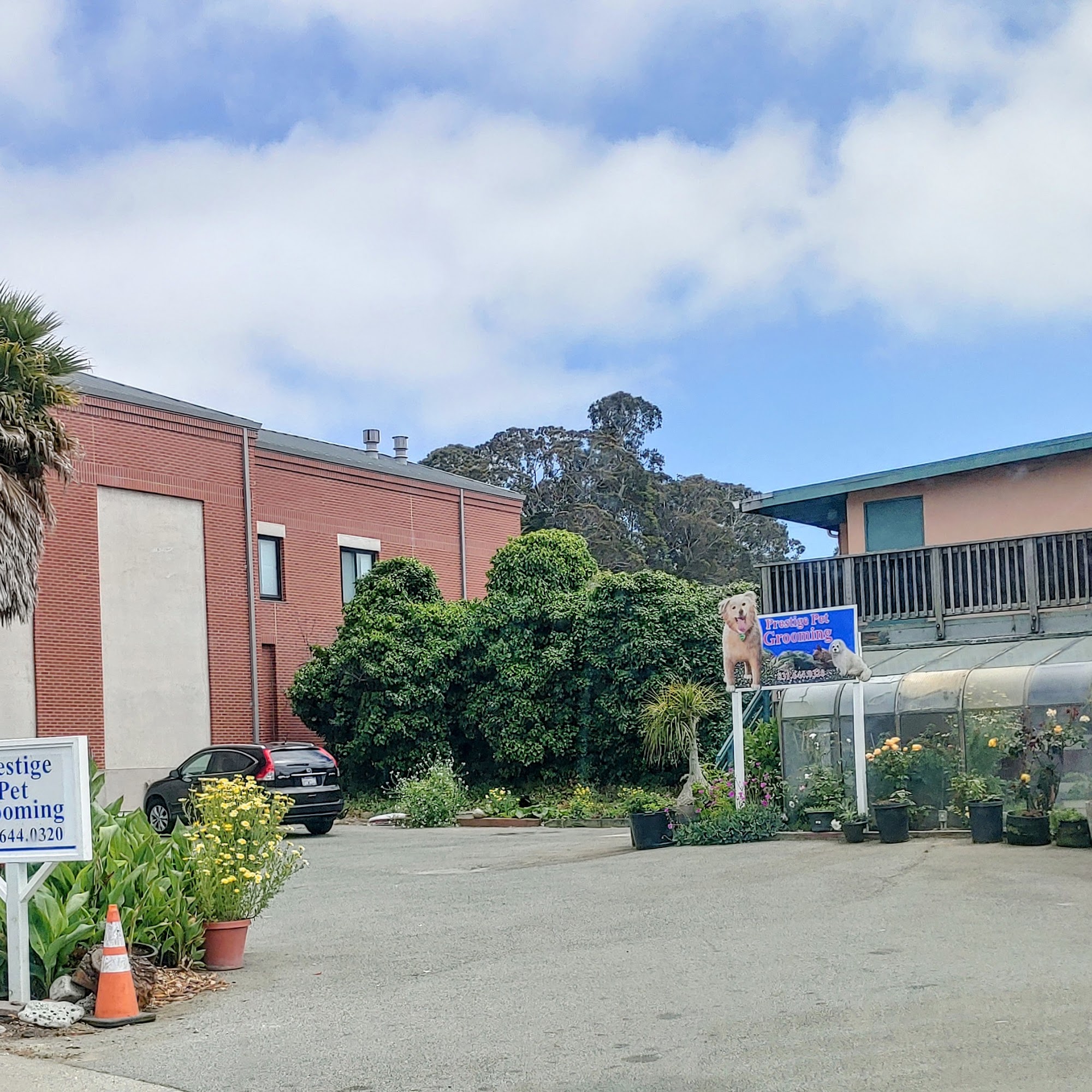 Prestige Pet Grooming Monterey