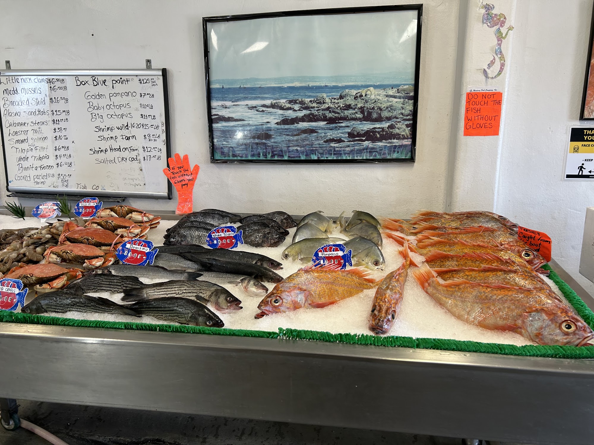 Robbie's Ocean Fresh Seafood Menu
