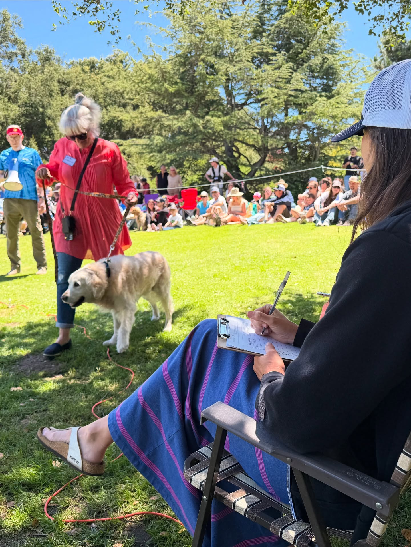 Veterinary Eye Clinic Monterey Bay Monterey