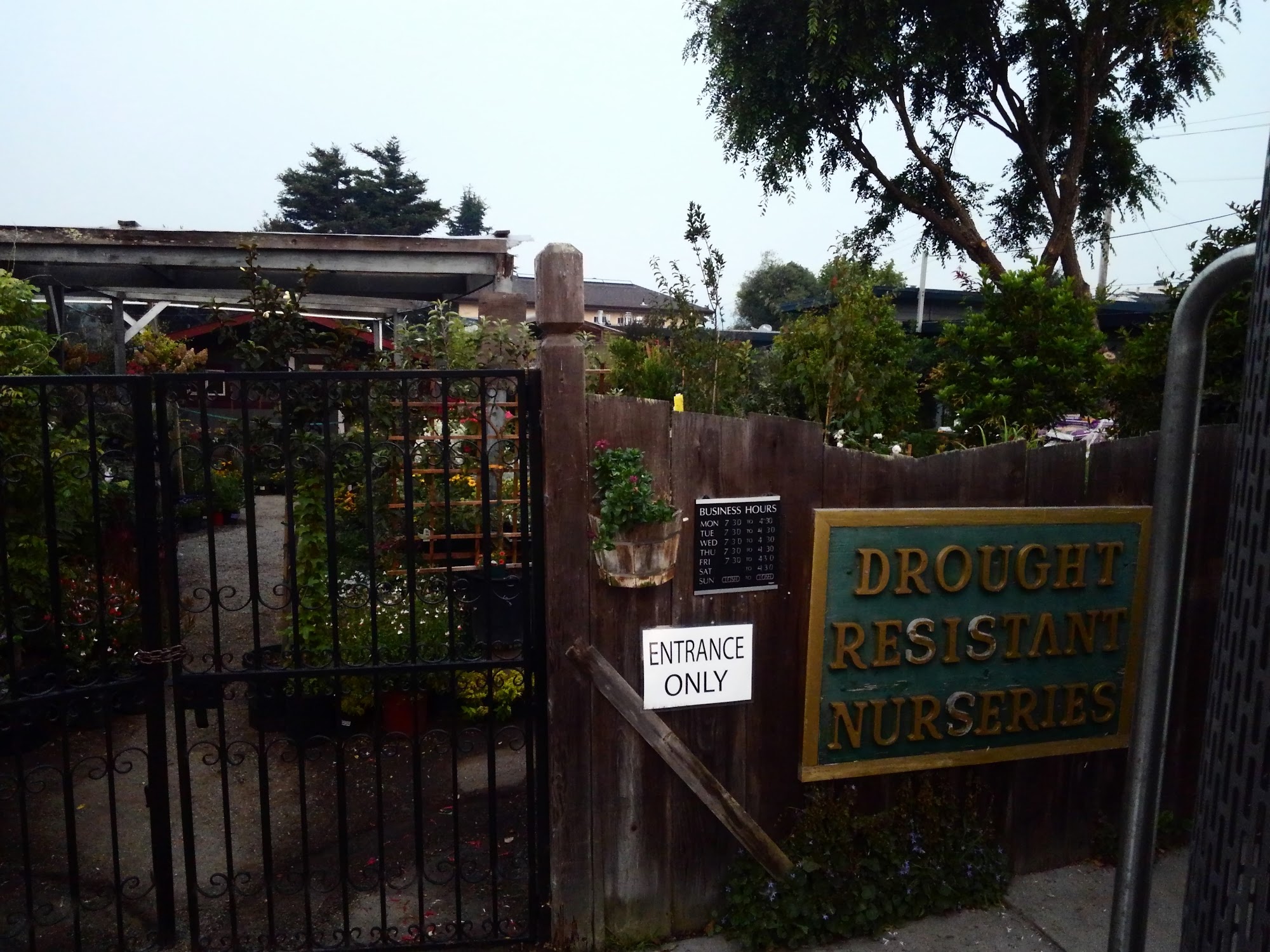 Drought Resistant Nursery Monterey