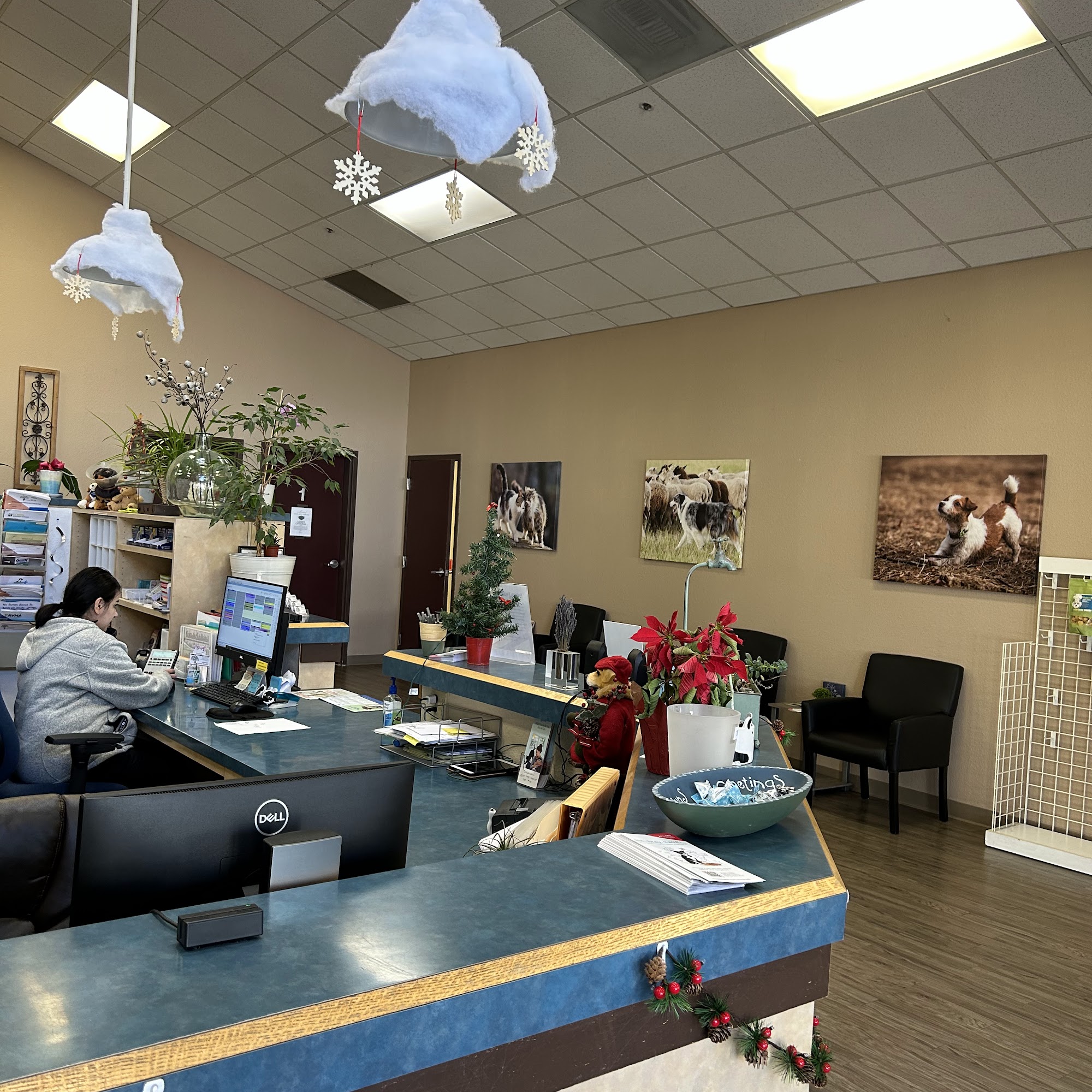 Live Oak Veterinary Hospital Morgan Hill