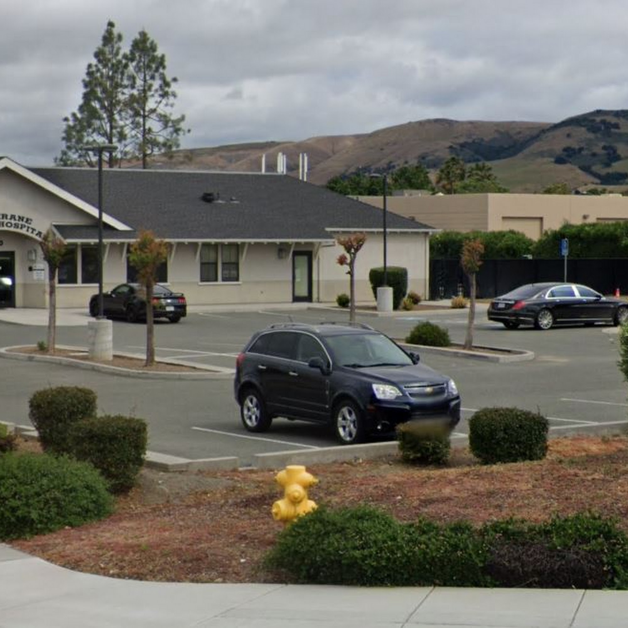 Cochrane Animal Hospital Morgan Hill