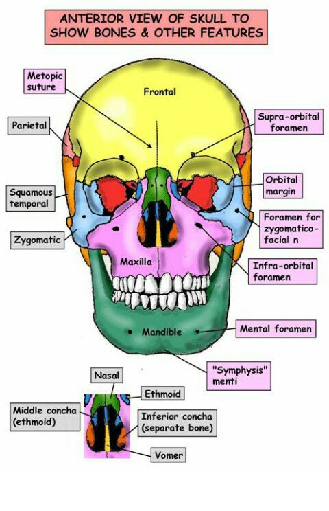 Power Of Touch Mobile Massage
