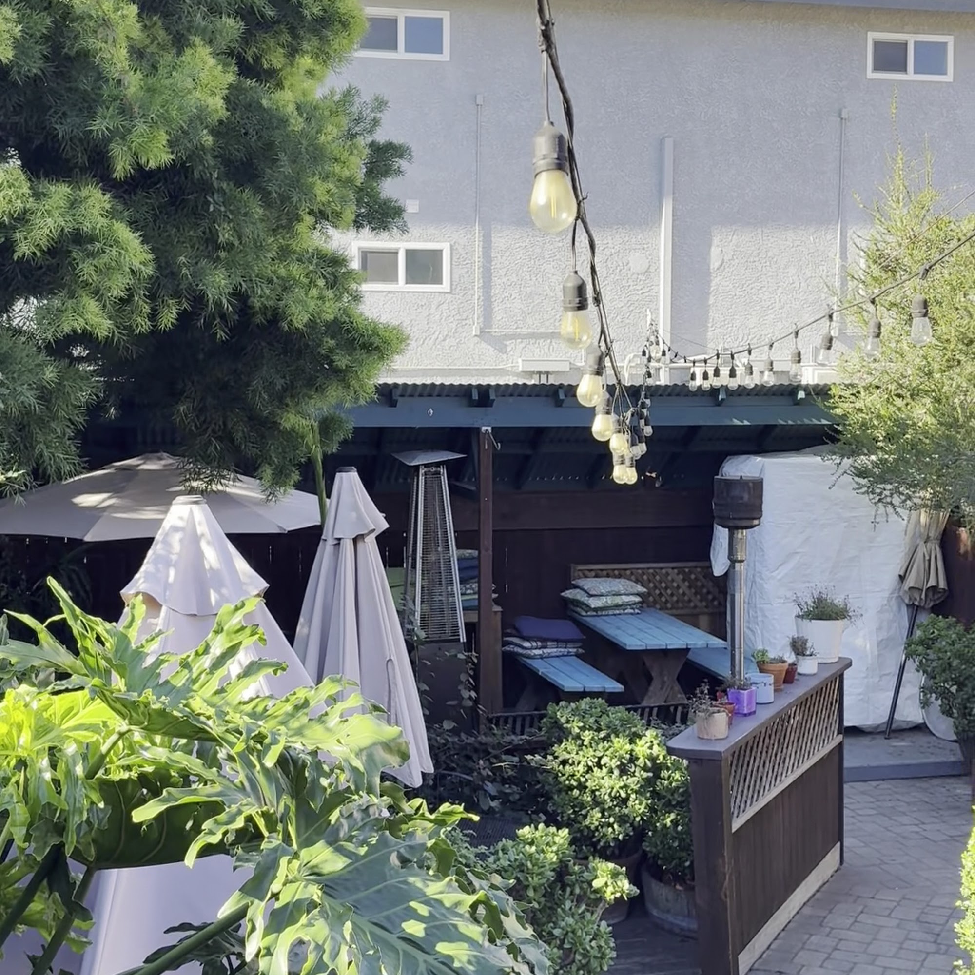 Top dog cafe bar & restaurant Morro Bay