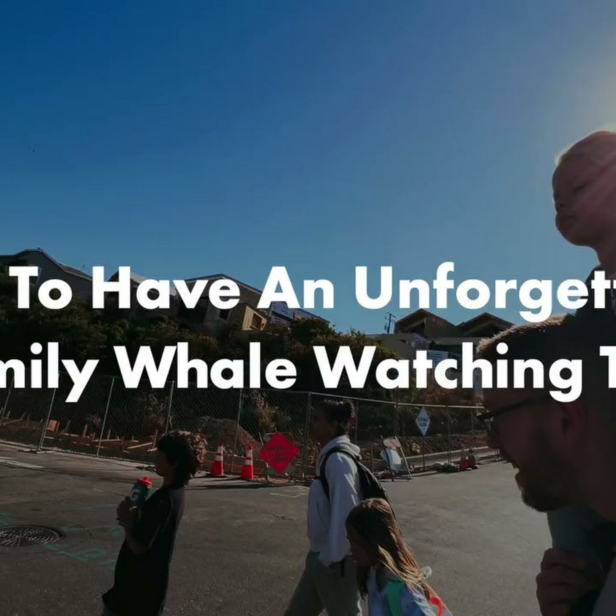 Lost Isle Adventures Harbor Tours & Whale Watching Morro Bay