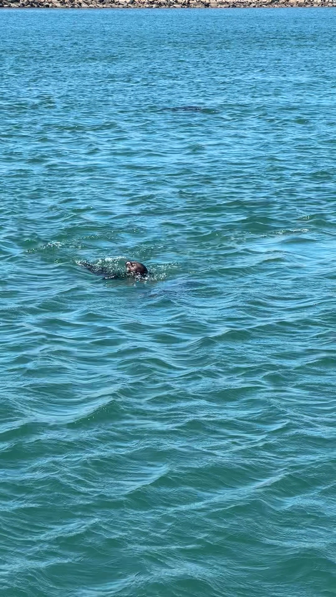 Morro Bay Cocktail Cruise Menu