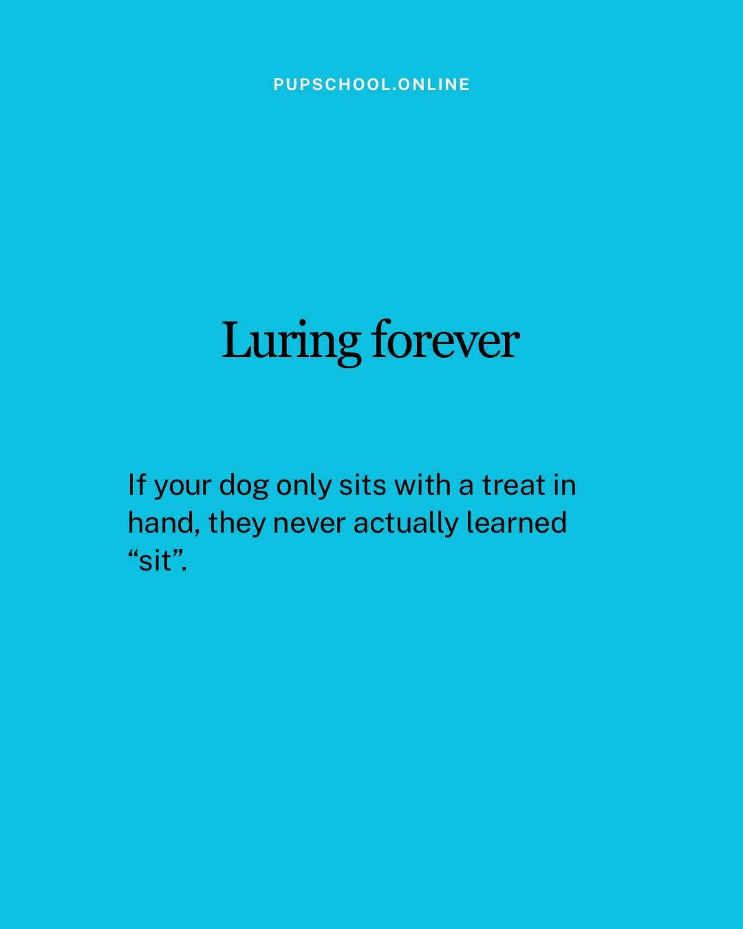 The Pup School Mountain View