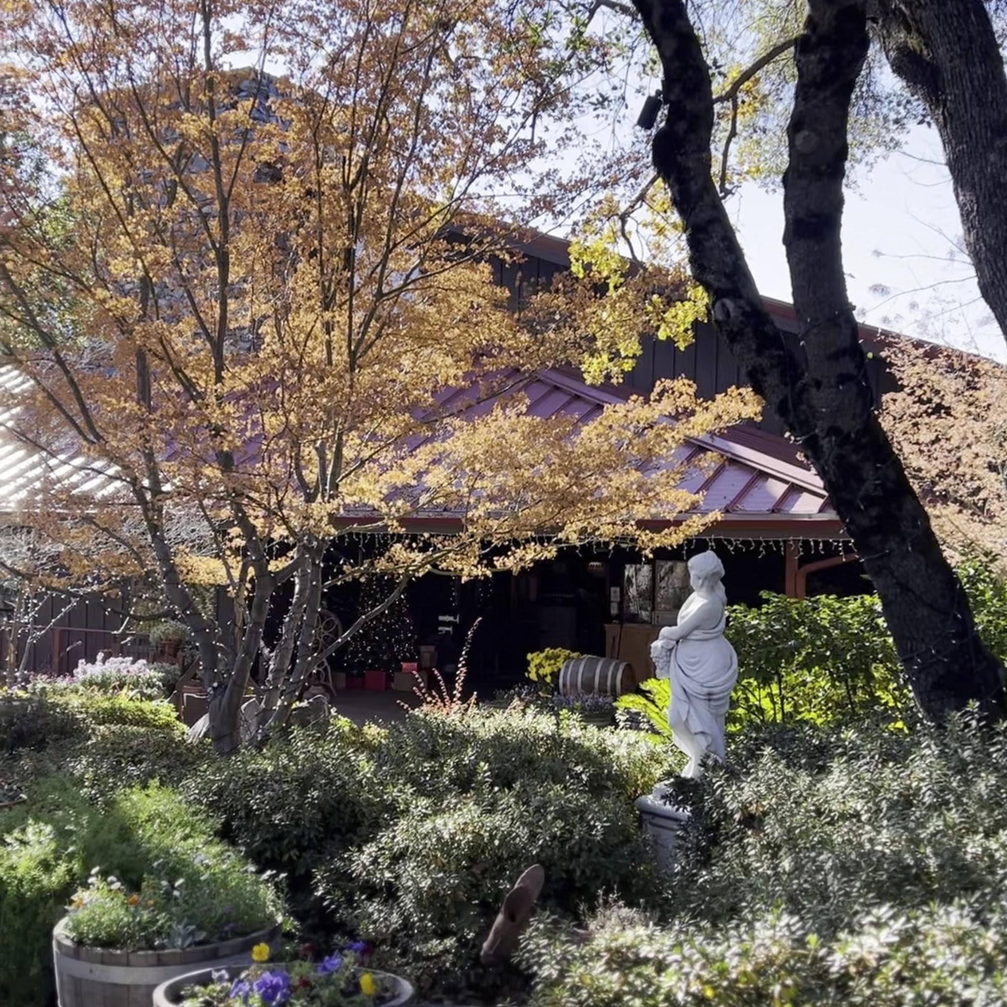 Ironstone Vineyards Murphys