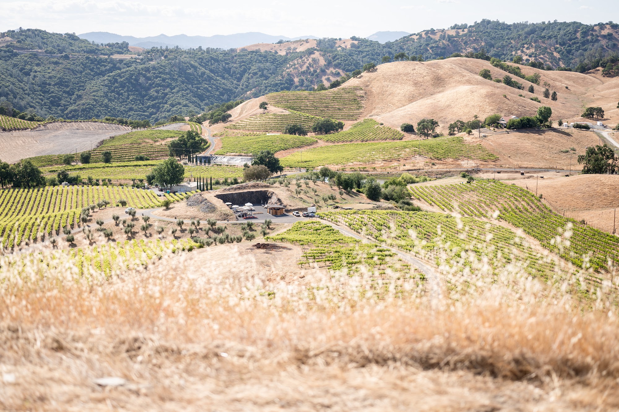 Aloria Vineyards Tasting Room Murphys