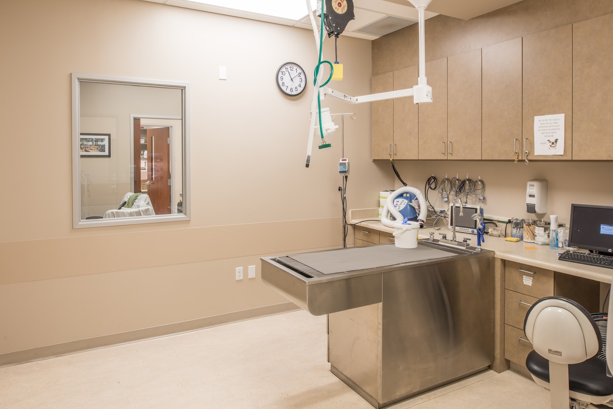 VCA California Oaks Animal Hospital Murrieta