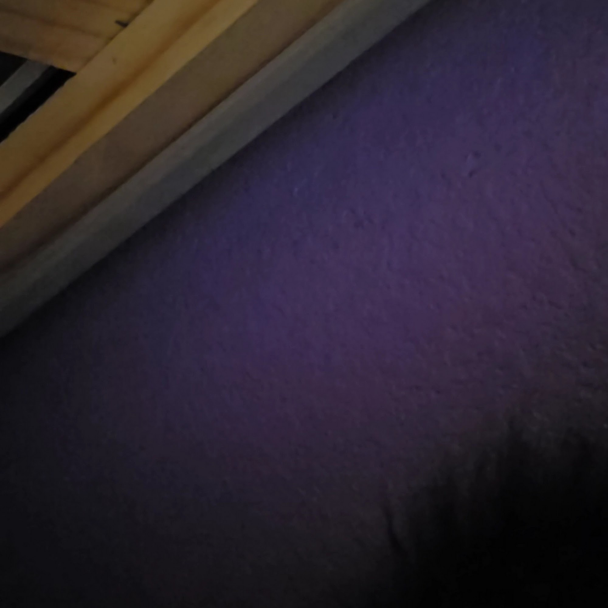 Ark Animal Hospital Murrieta