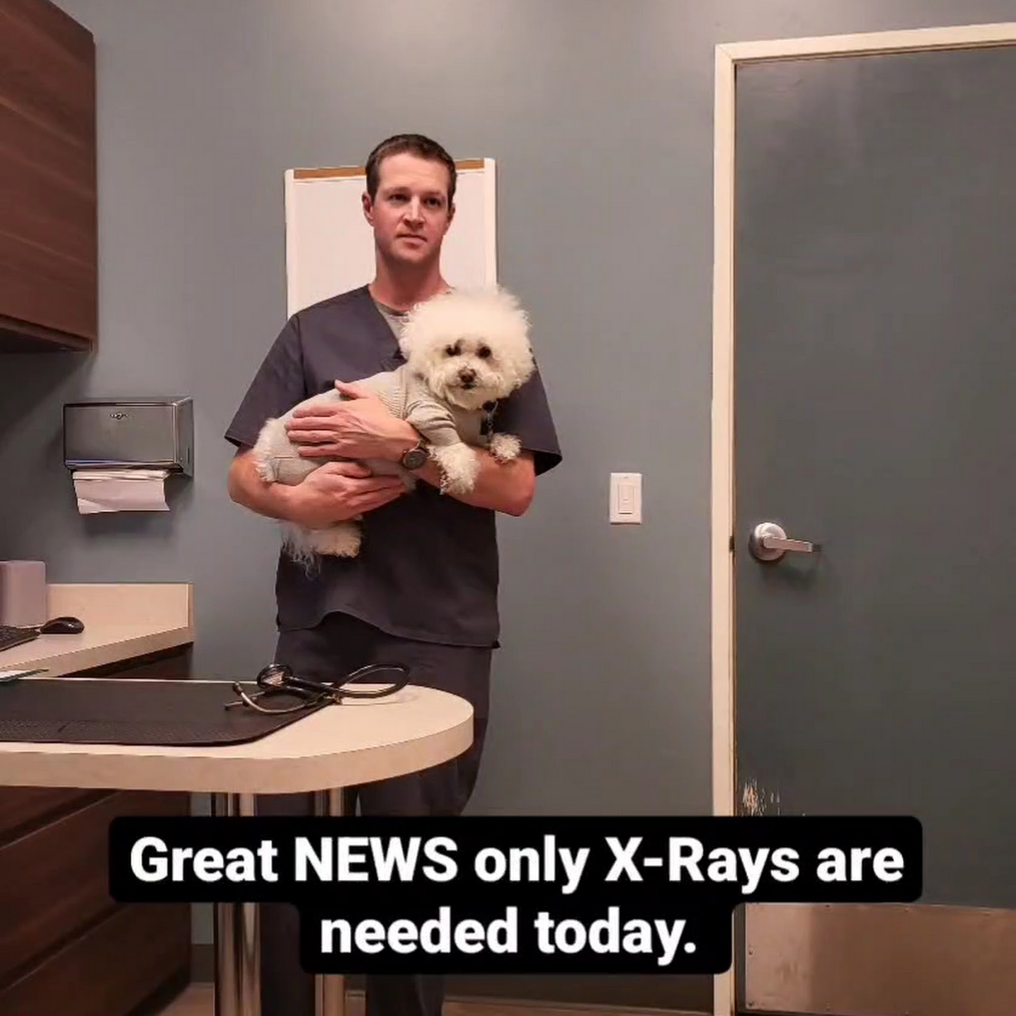 Pet Wellness Center, Veterinarian Murrieta