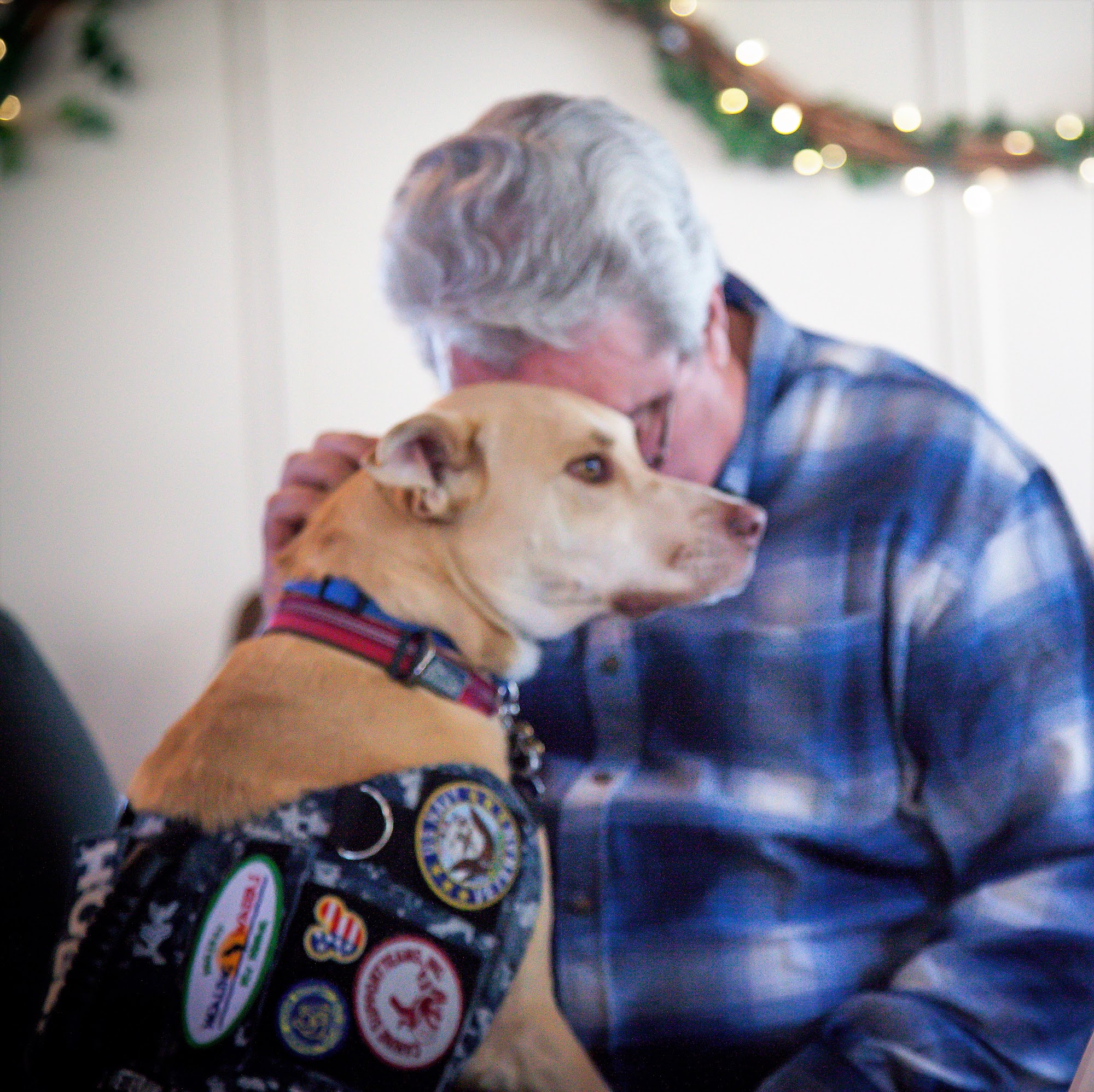 Canine Support Teams Inc Murrieta