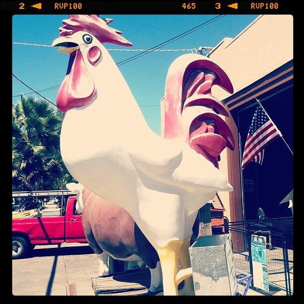 Wilson's Feed & Supply Napa