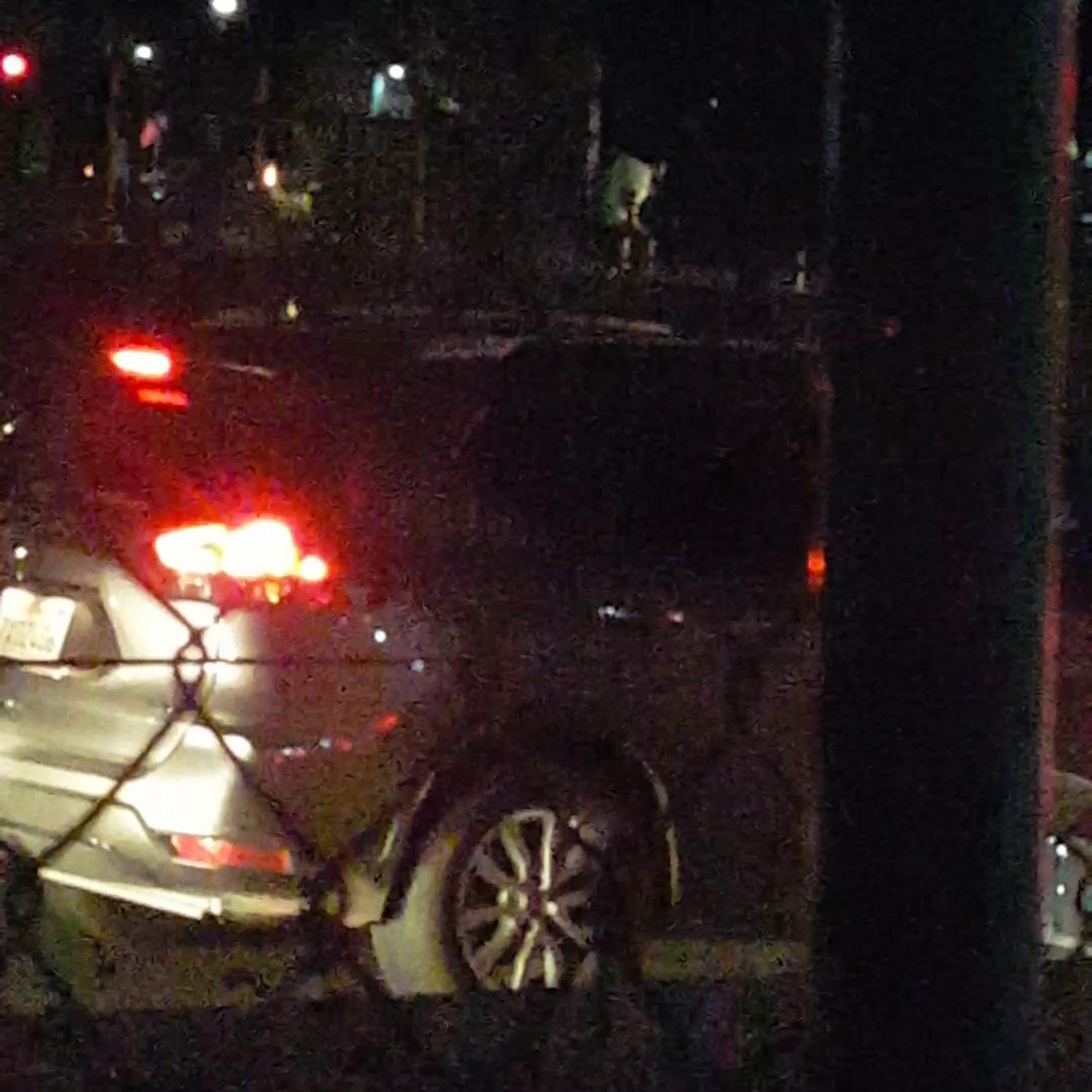 Humane Society Napa County - (Napa Humane) Napa