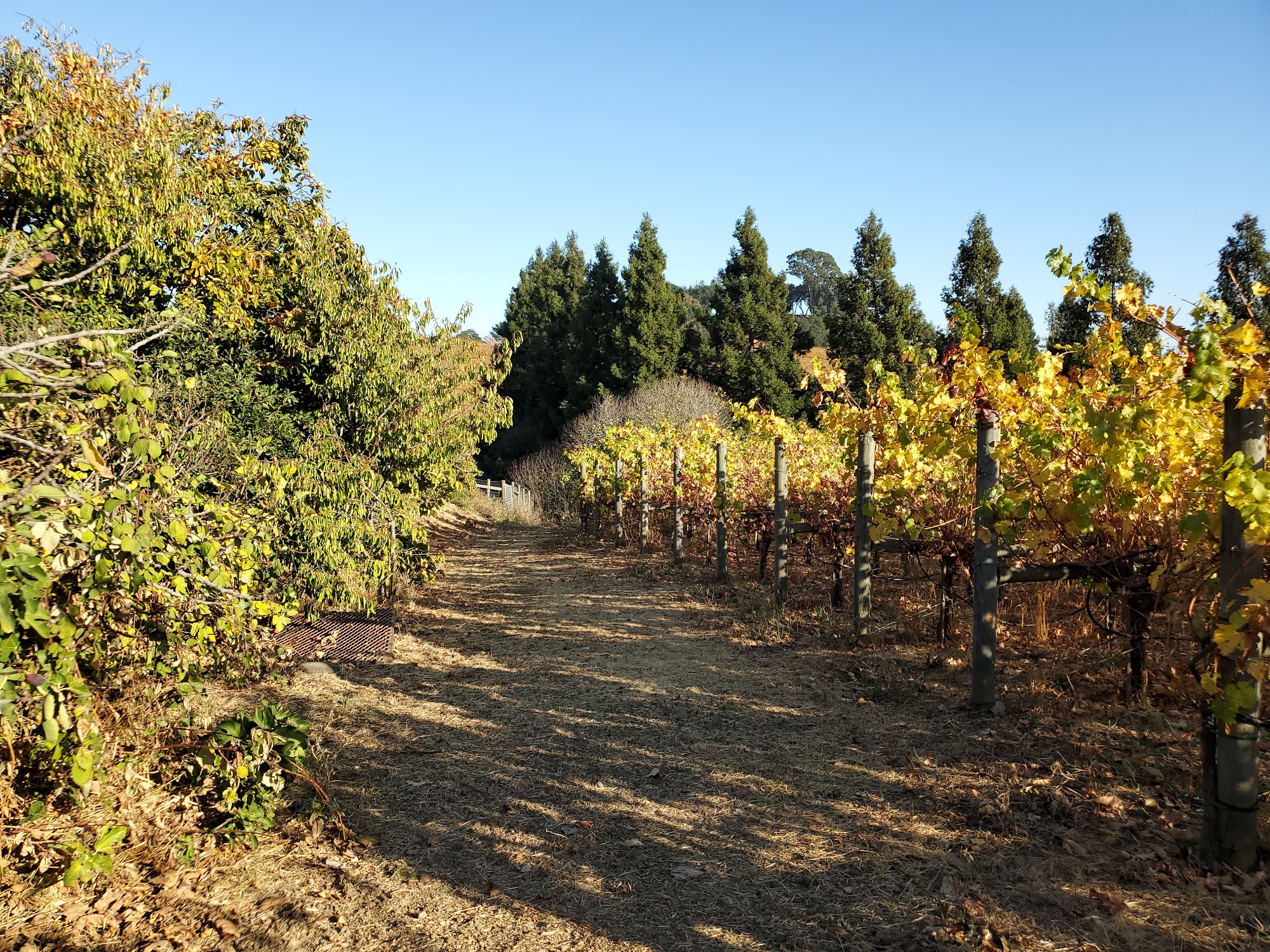 Truchard Vineyards Menu