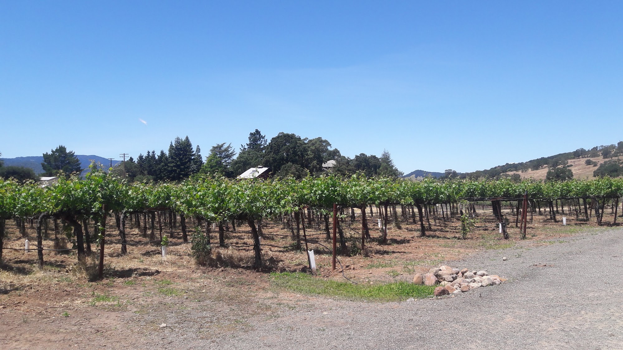 Hagafen Cellars Napa