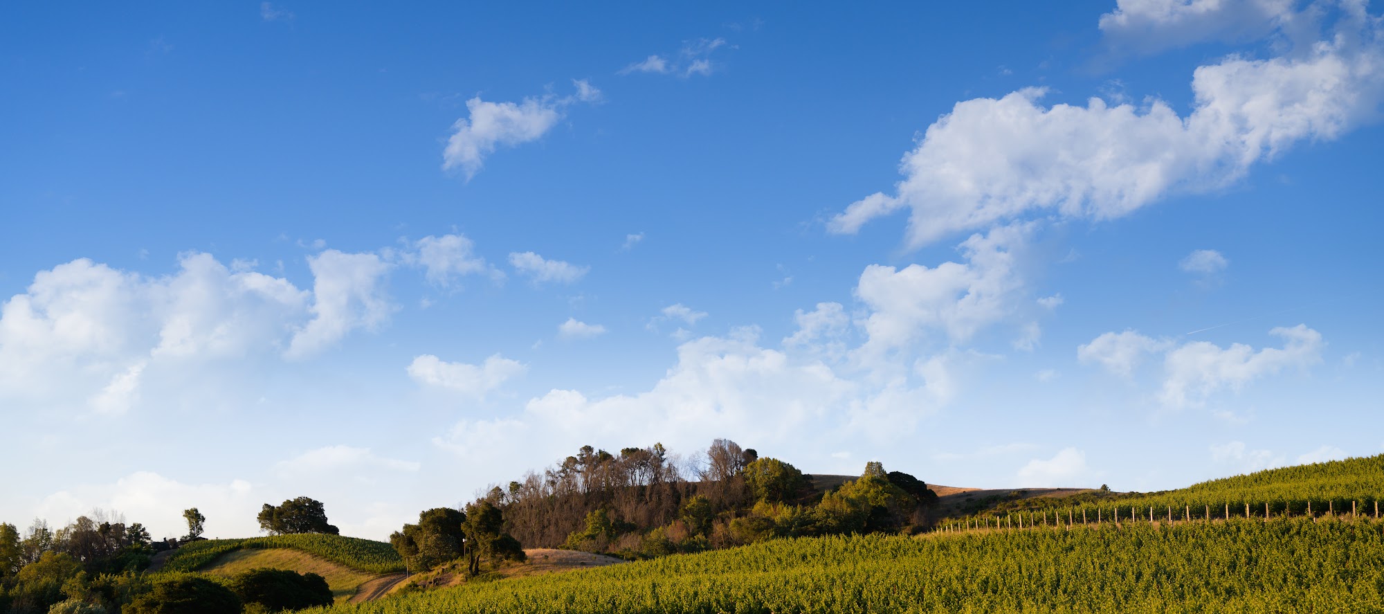 Fontanella Family Winery Napa