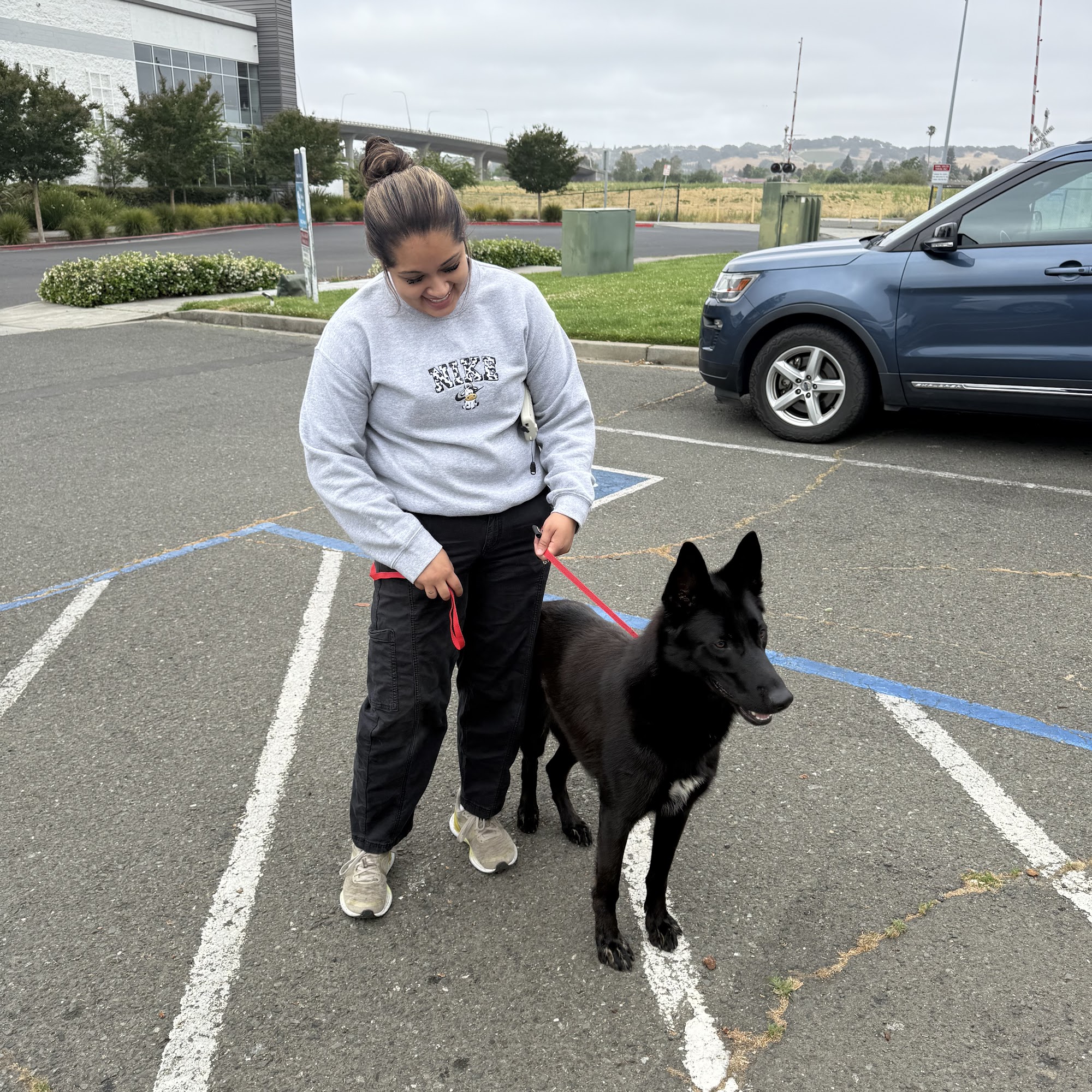 Napa County Animal Shelter and Adoption Center Napa