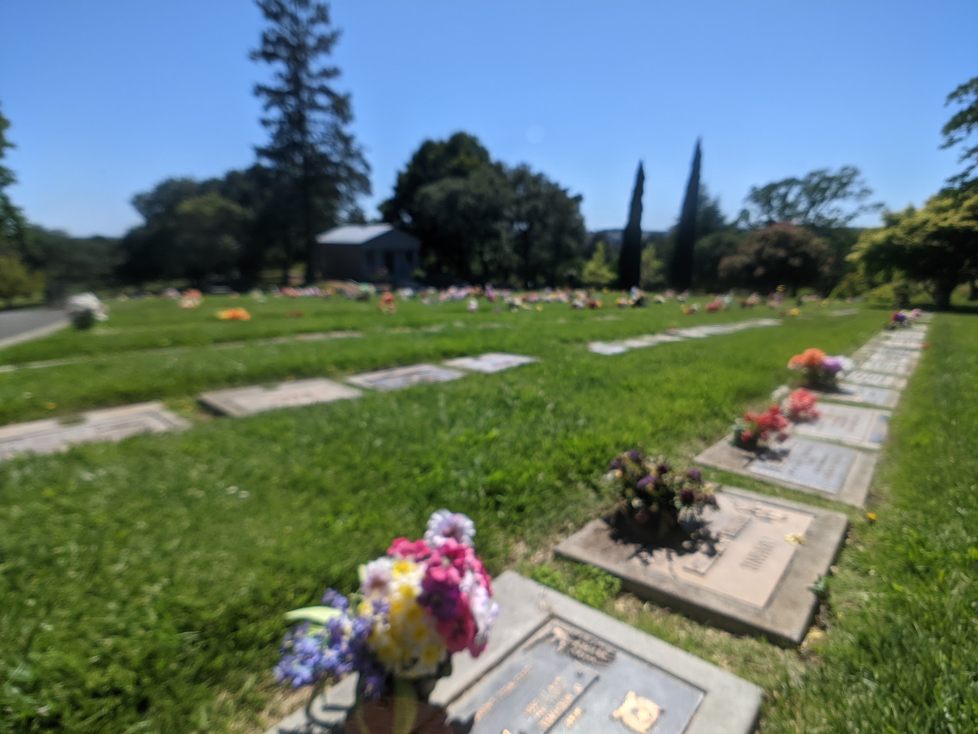 Tulocay Cemetery Napa