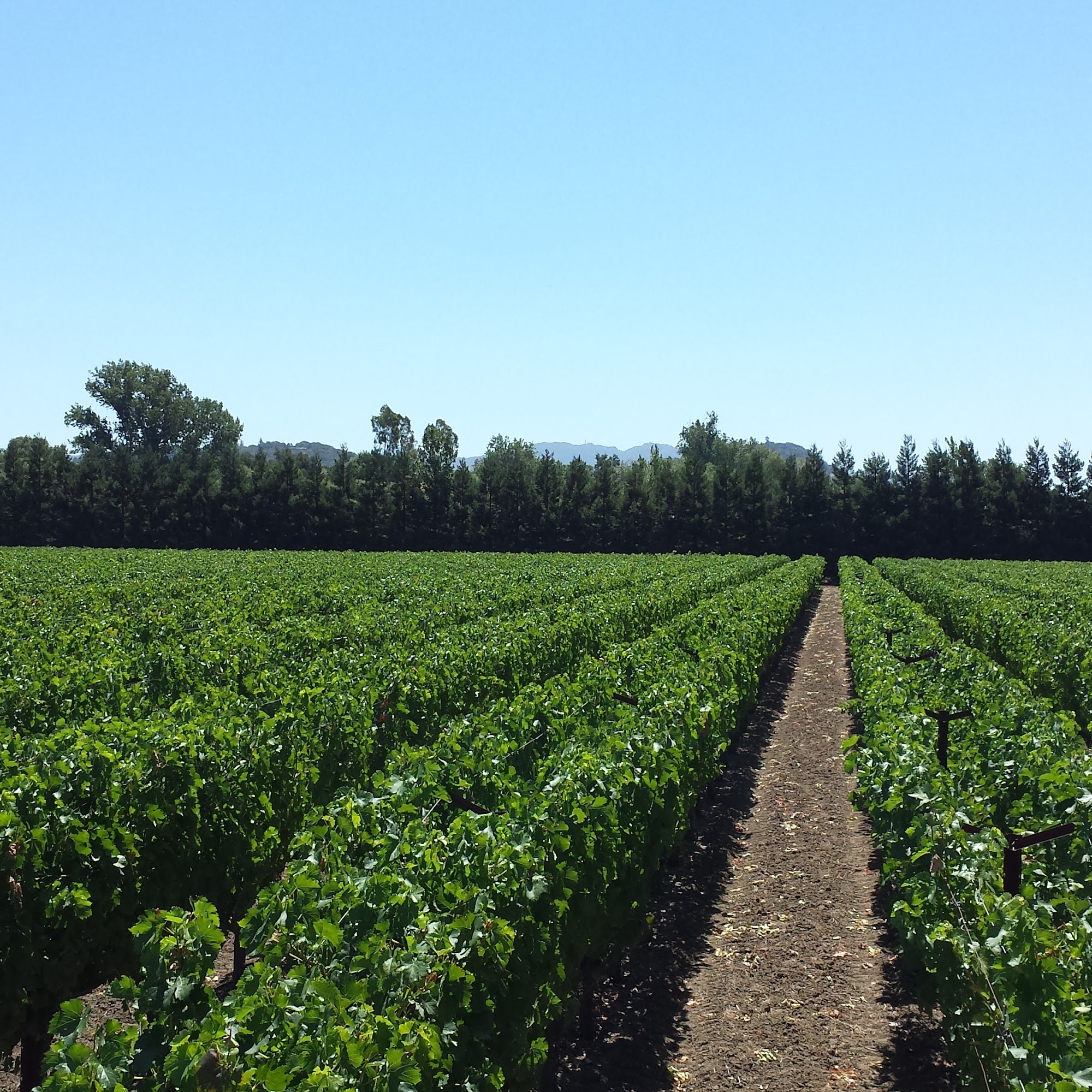 Heritage Vineyard Management Inc Napa