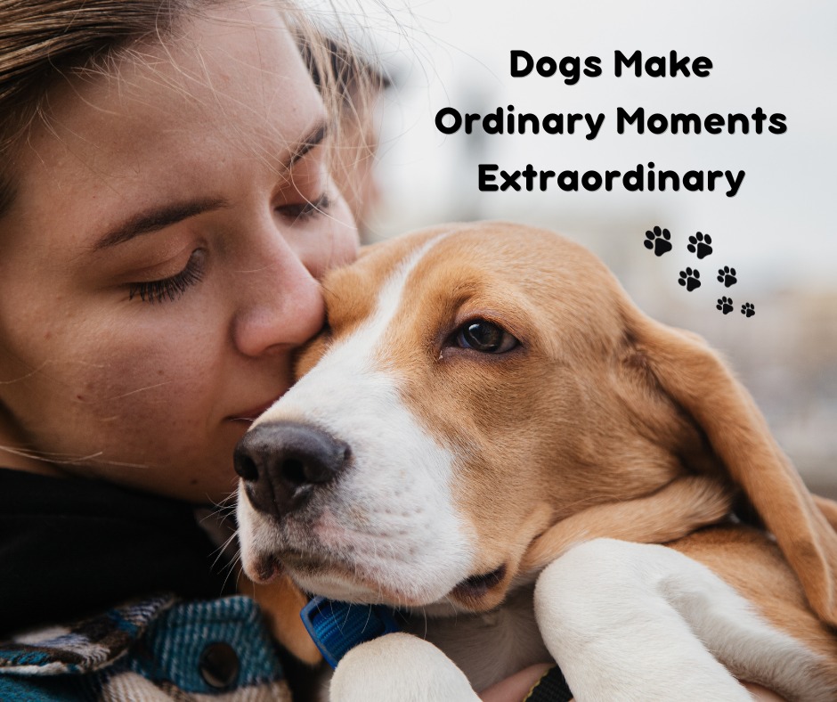 Newbury Park Veterinary Clinic: Canan Richard T DVM Newbury Park