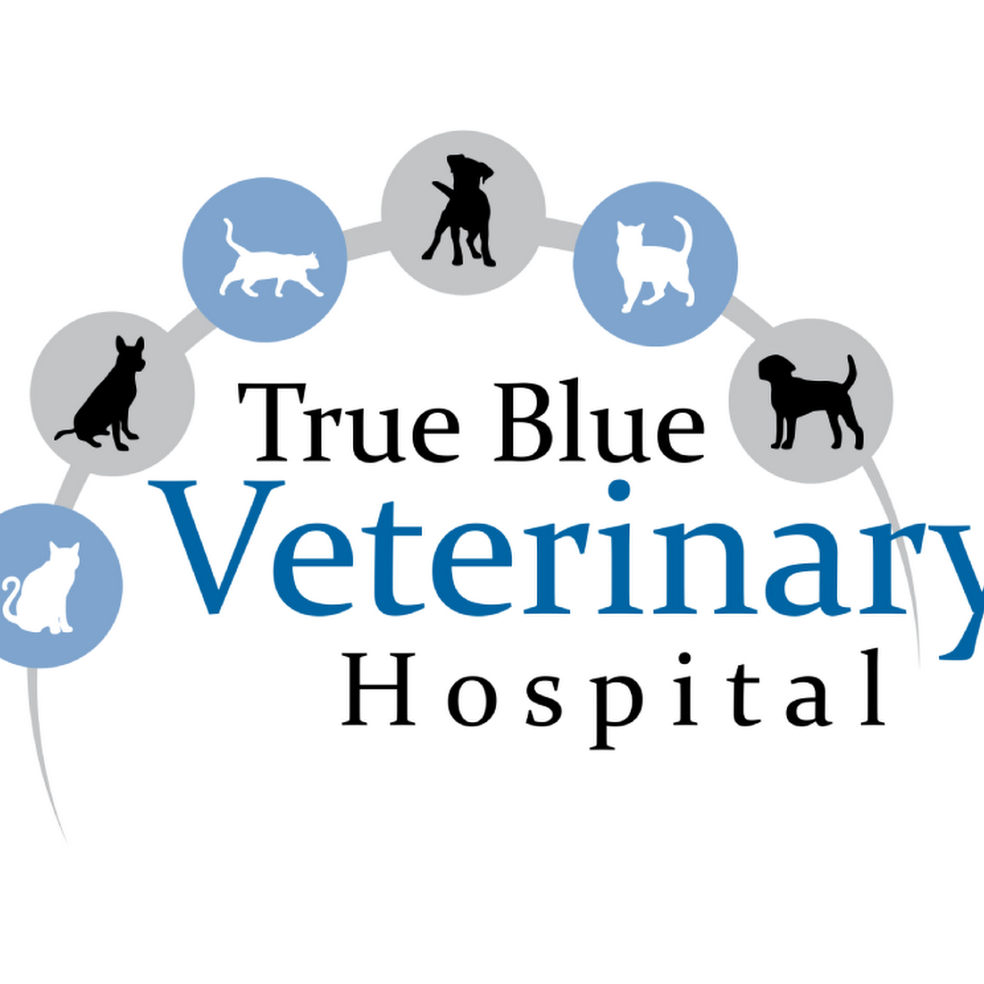 True Blue Veterinary Hospital Newman