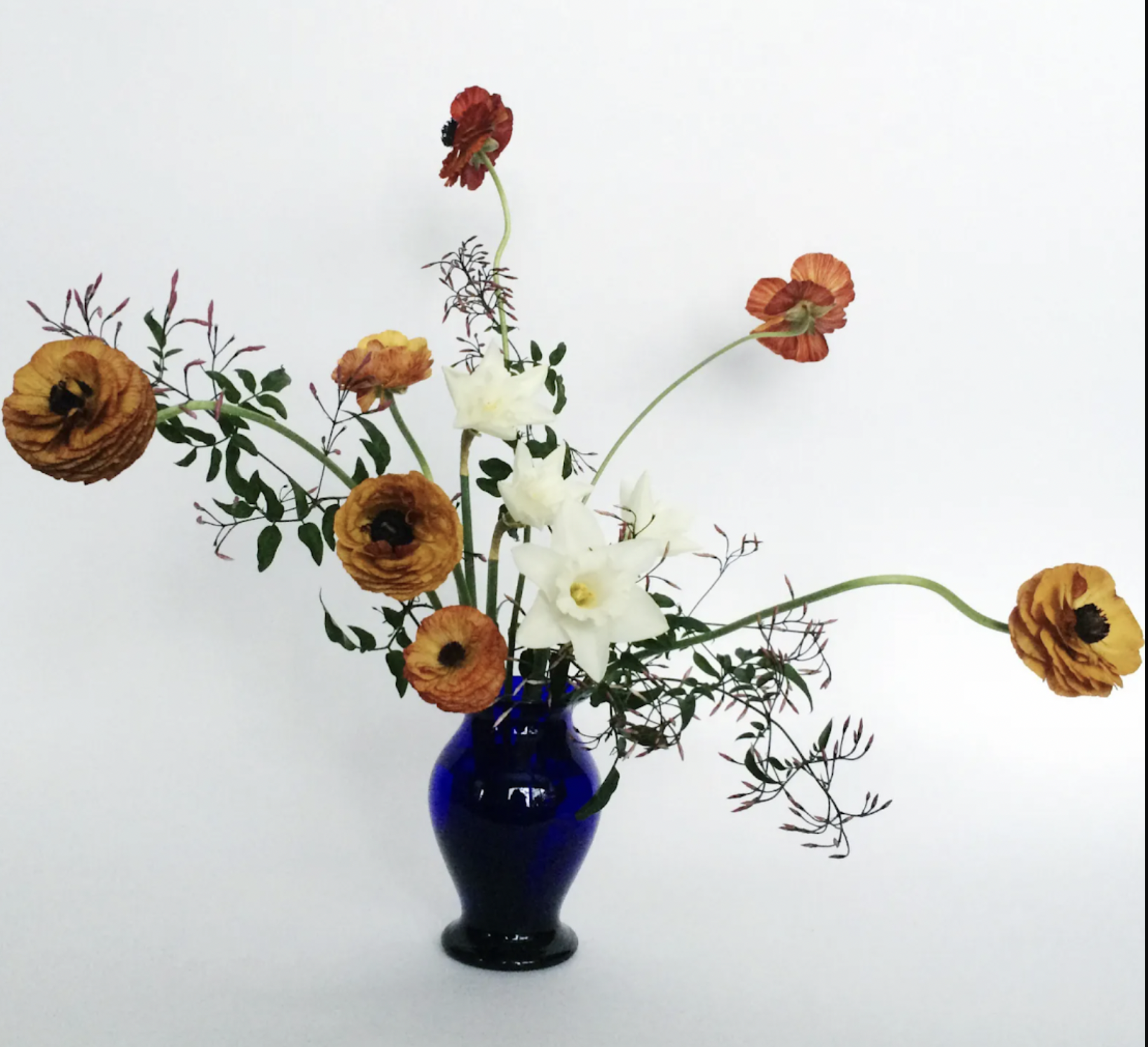 Meadow Memorials - Cremations and Funerals Newport Beach