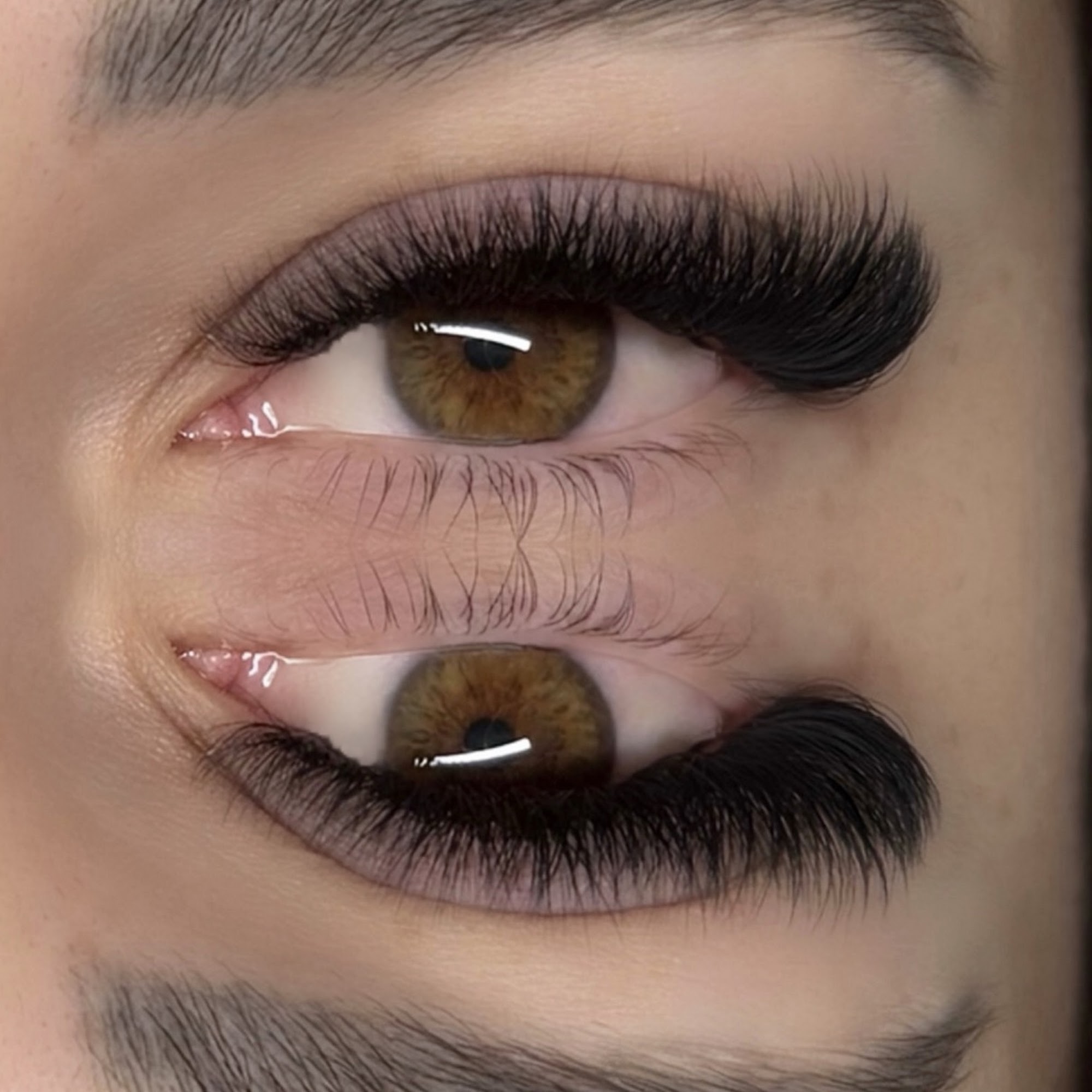 Lash Fox 3400 Irvine Ave STE 205, Newport Beach California 92660