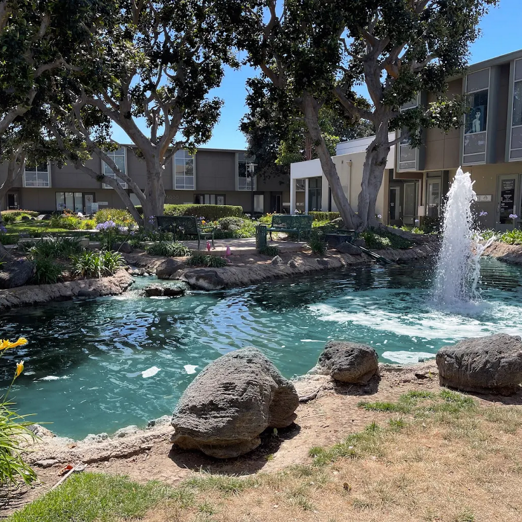 Blue Coast Behavioral Health: Drug & Alcohol Outpatient Rehab Newport Beach