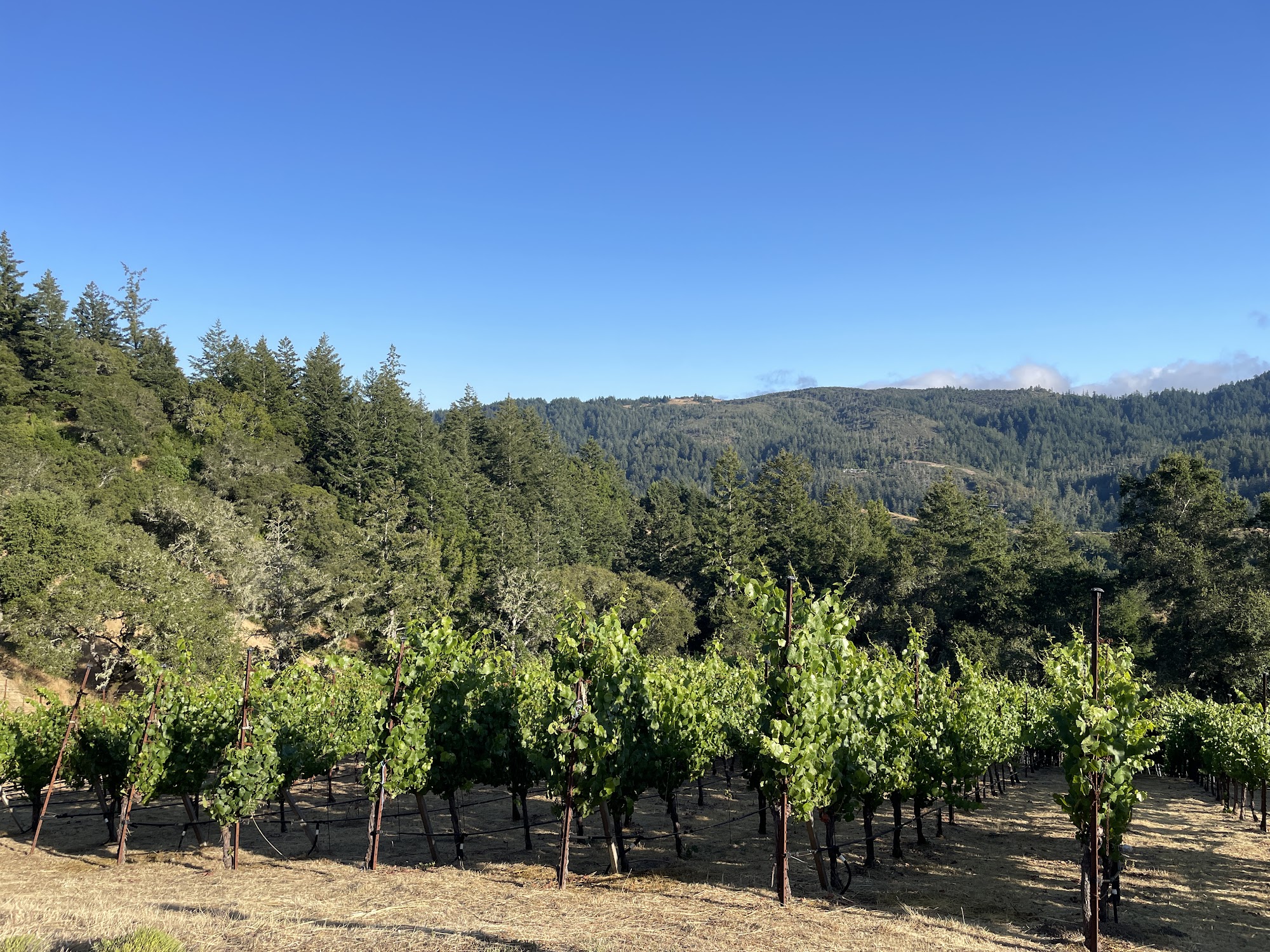 Moon Hill Vineyard and Burning Bench Cellars Menu