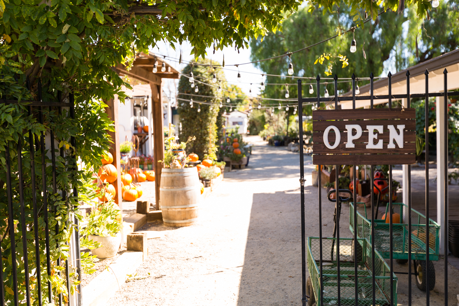 Birchwood Nipomo Nipomo