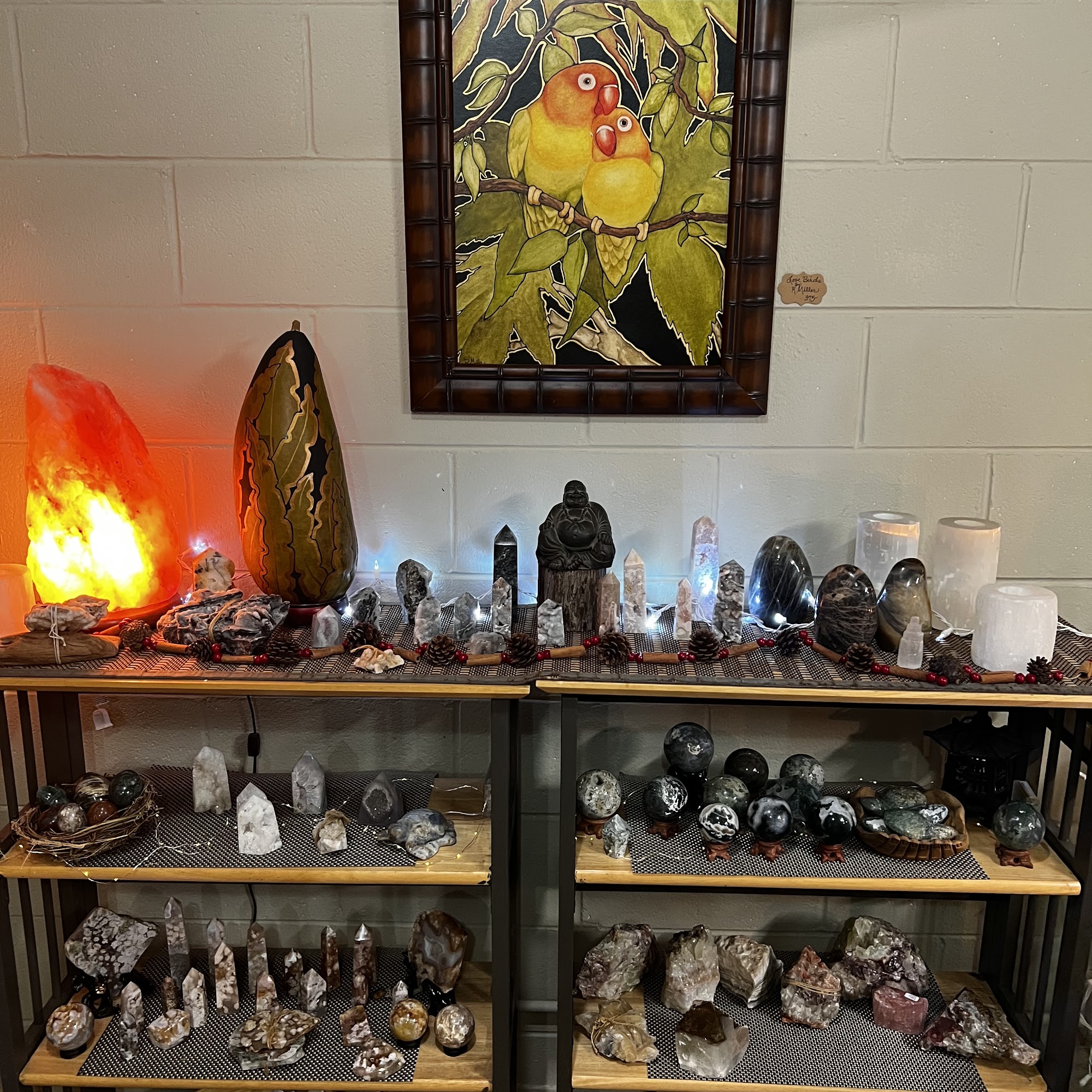 Mystic Nature Nipomo