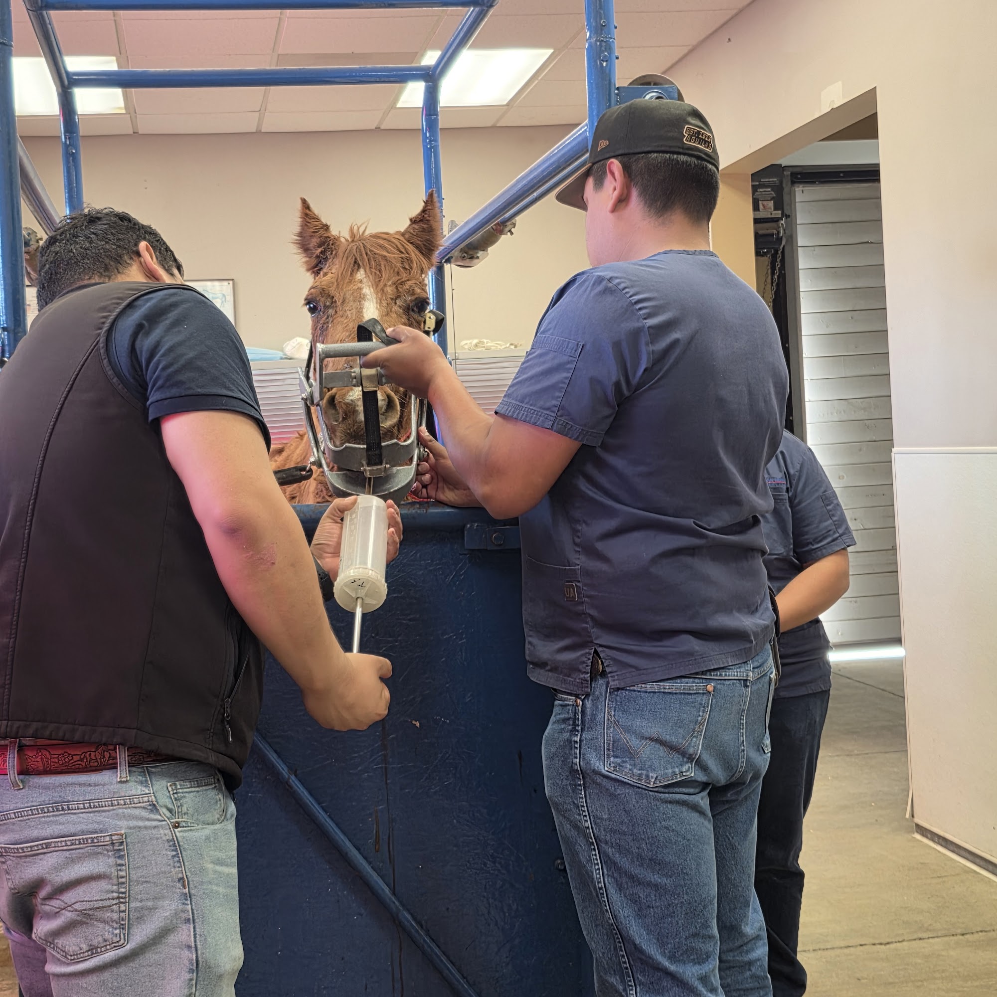 SoCal Equine Hospital Norco