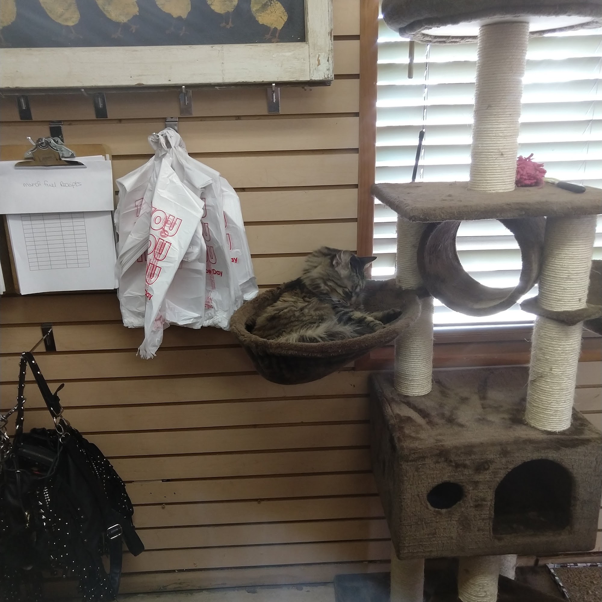 Hay Connection Norco