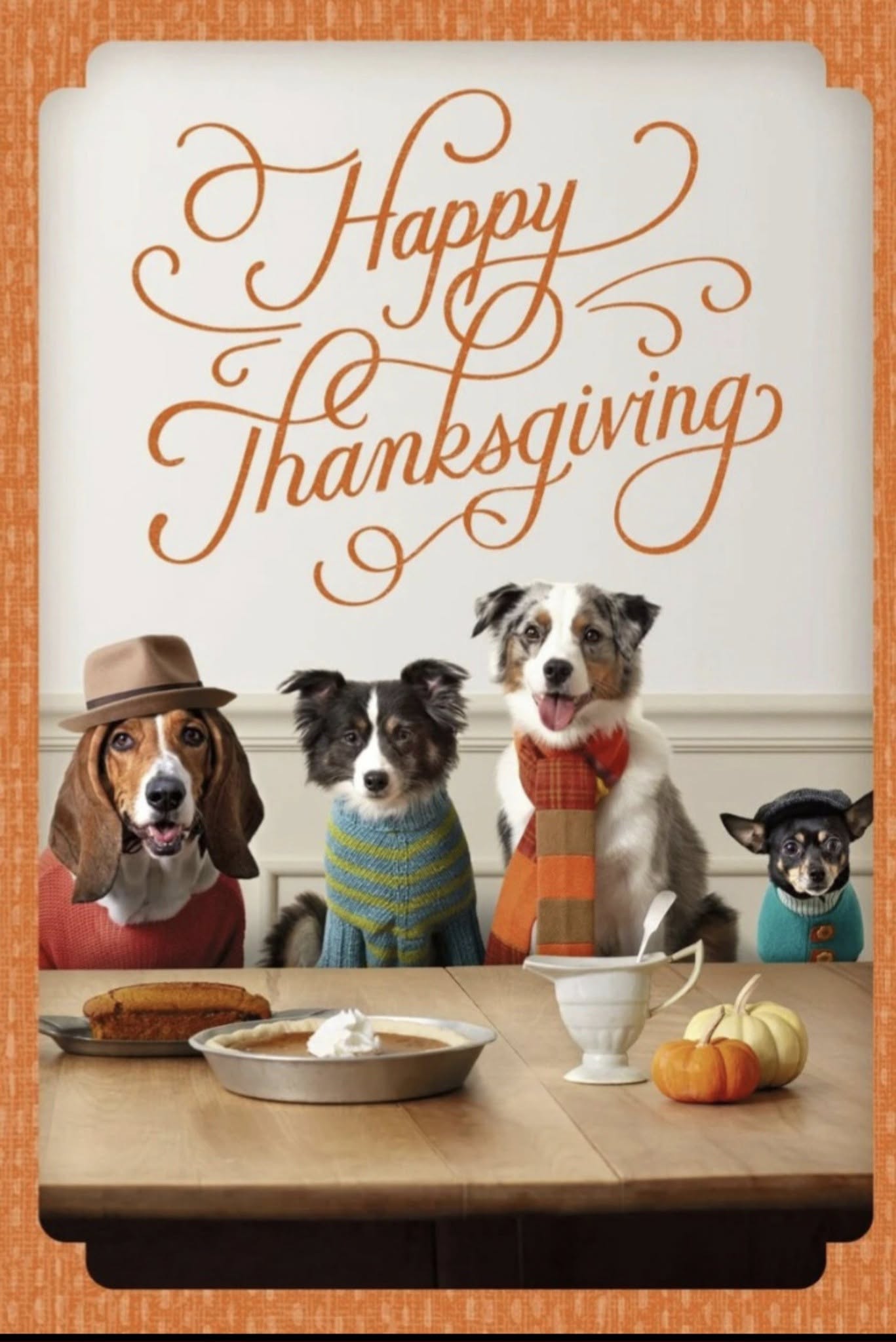 Coleen's Grooming Norco