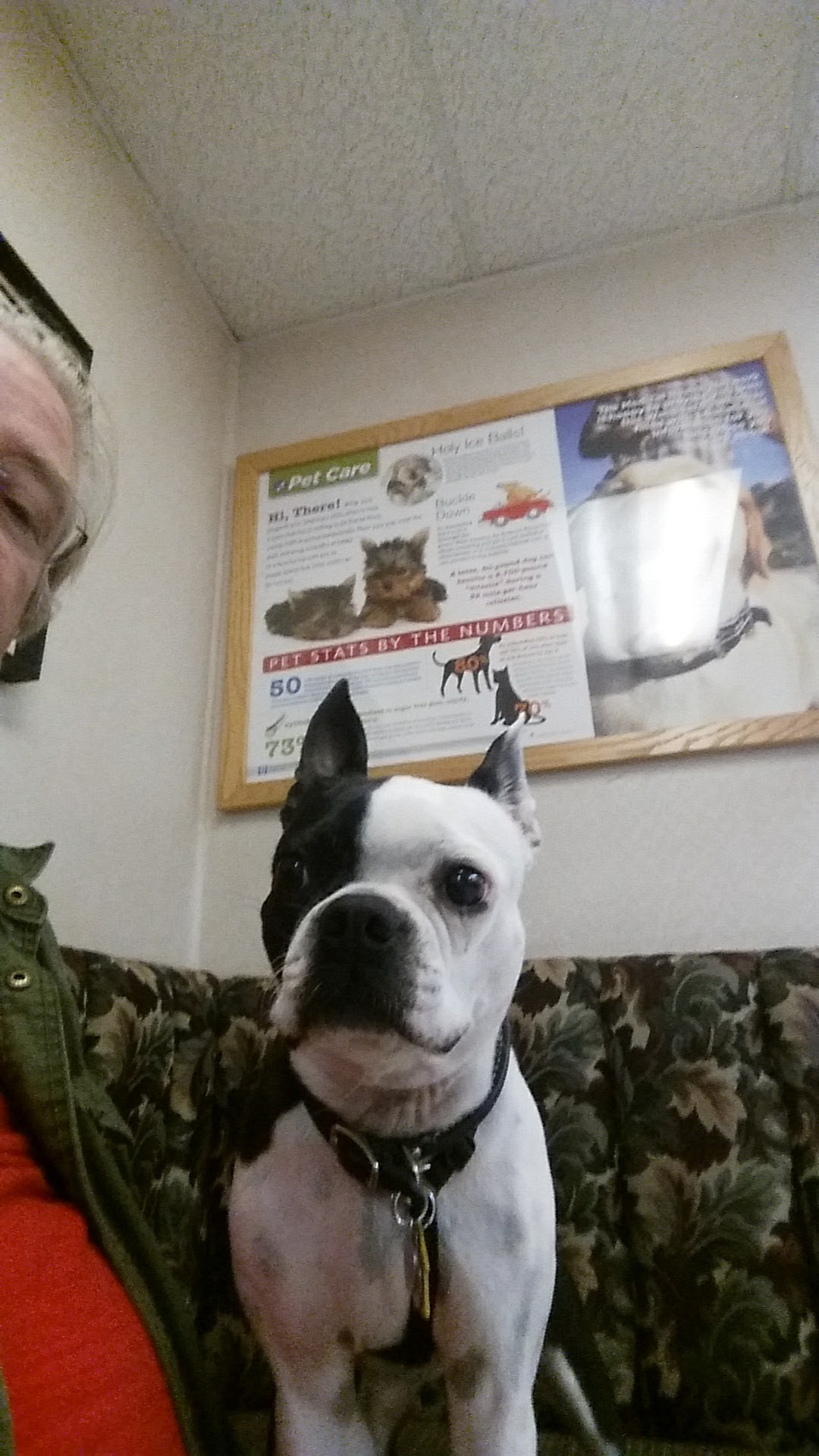 VCA Adler Animal Hospital and Pet Resort North Hills