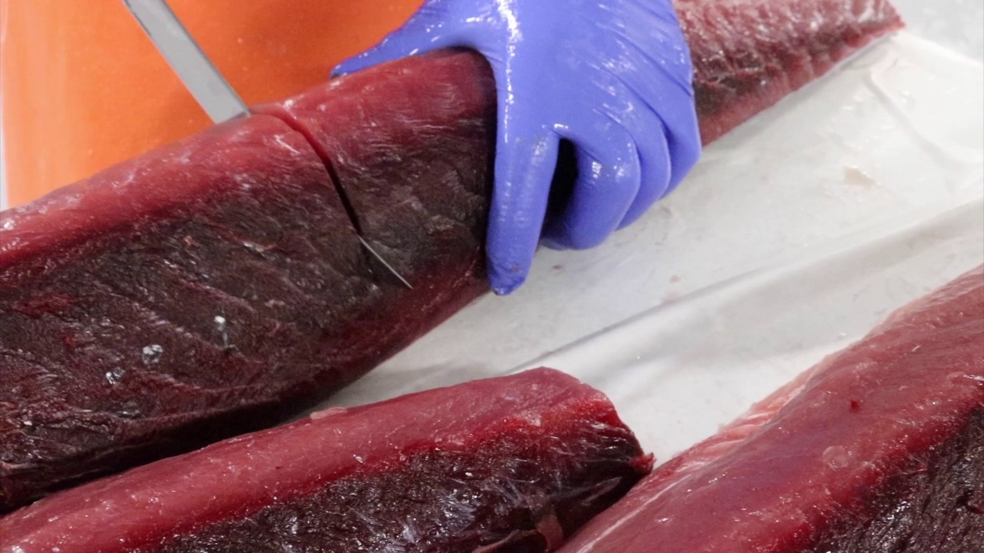 Universal Seafood Menu