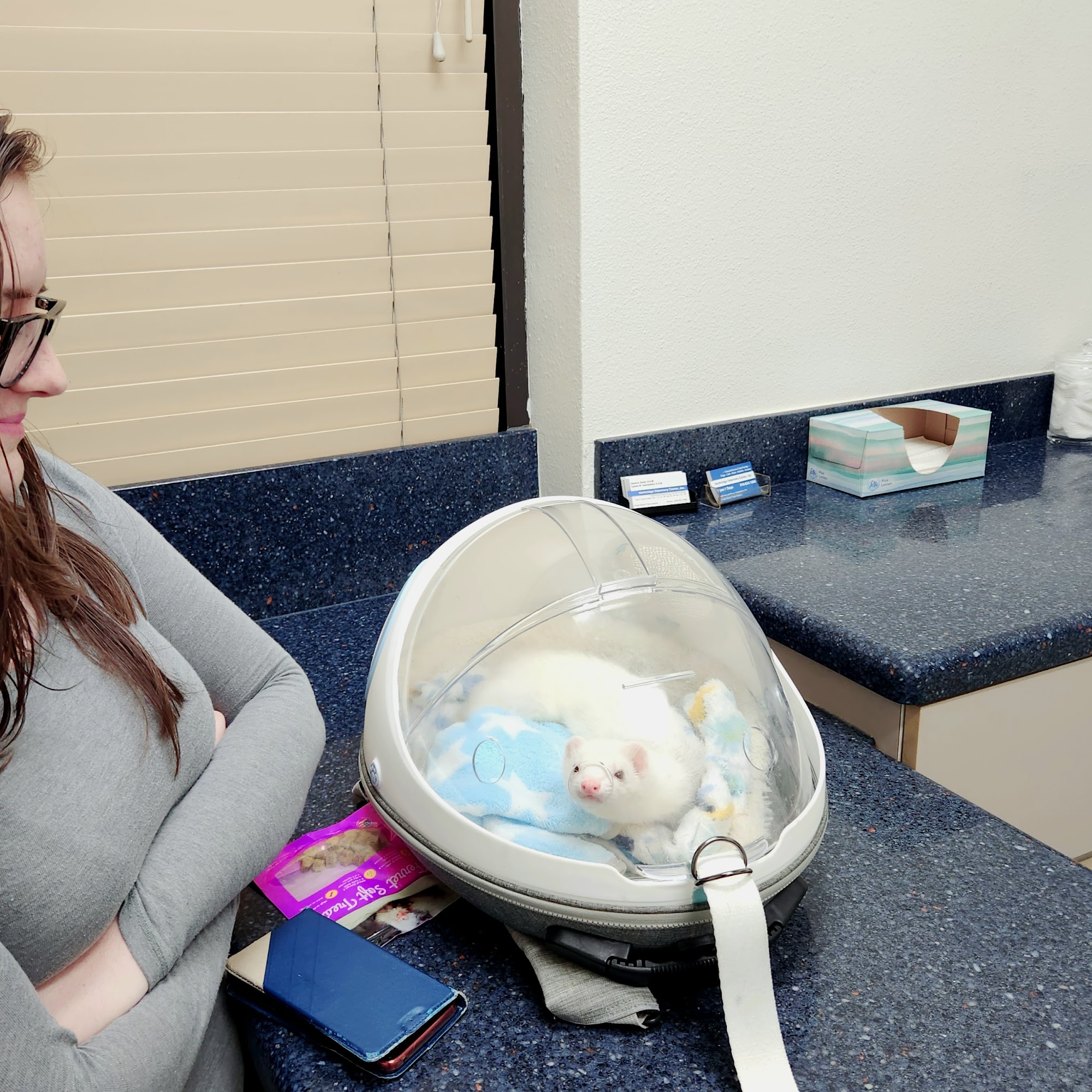 Northridge Veterinary Center Northridge