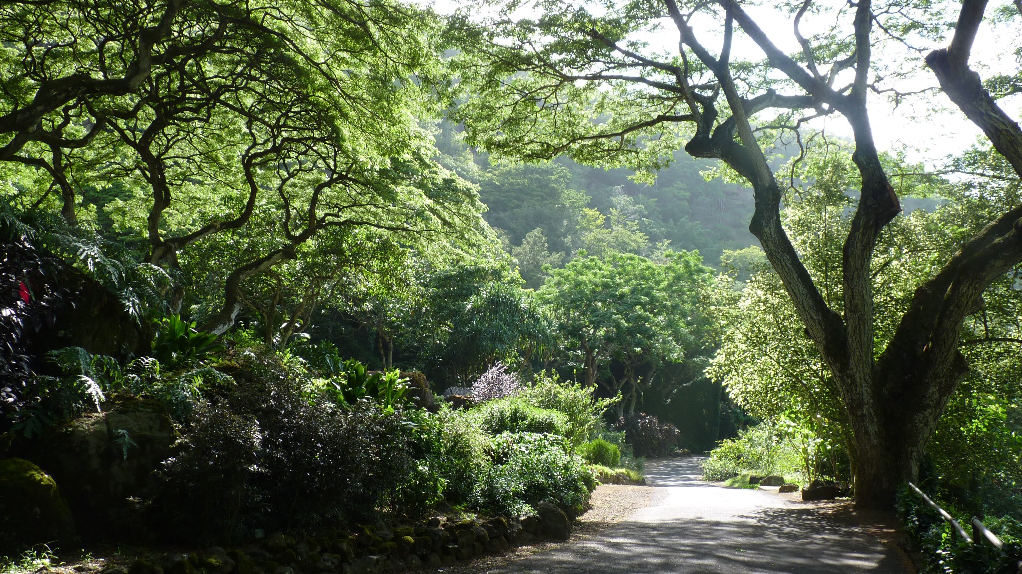 Joy Healing Center Massage