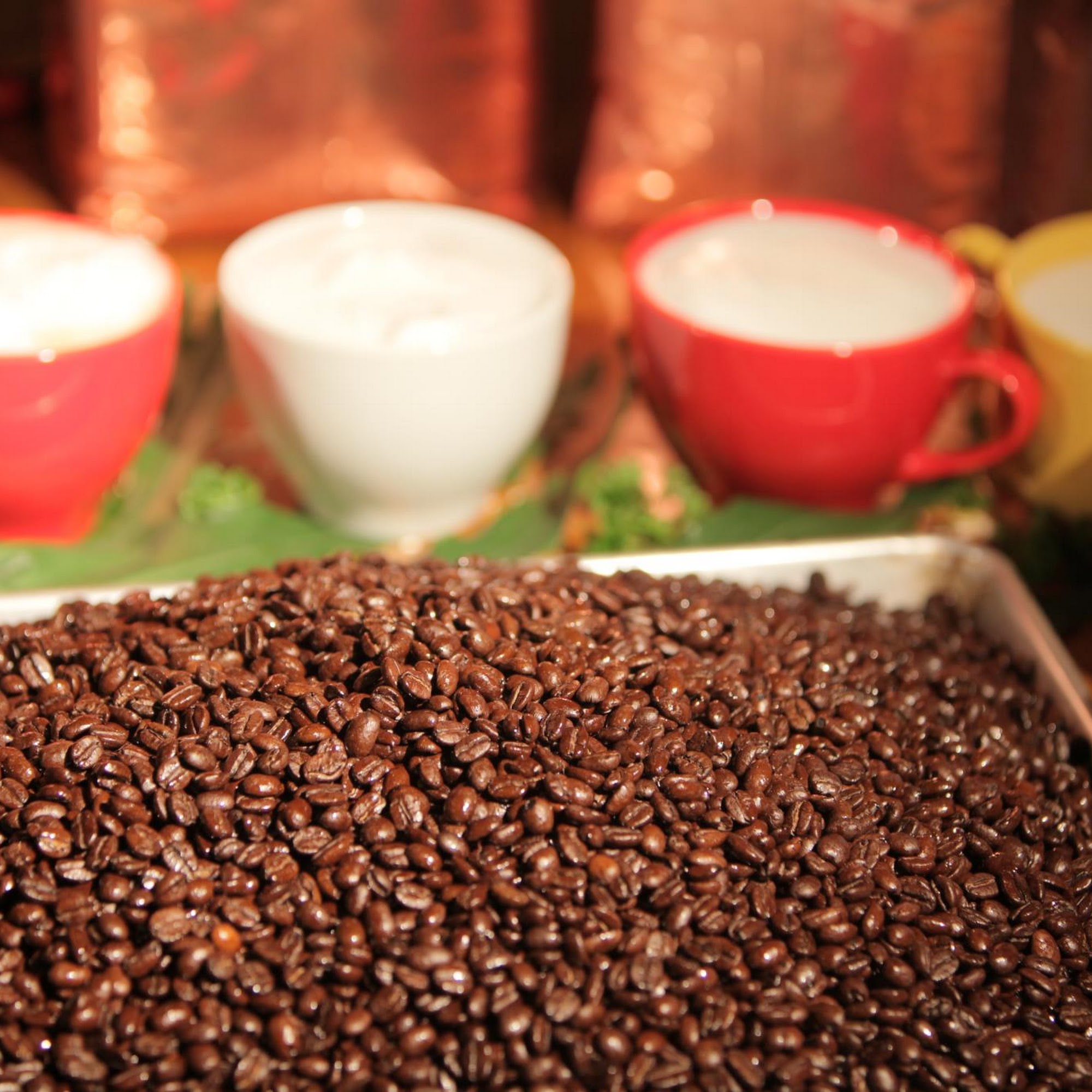 Dr. Insomniac's Fine Coffee, Tea, Smoothies & Cafe Novato